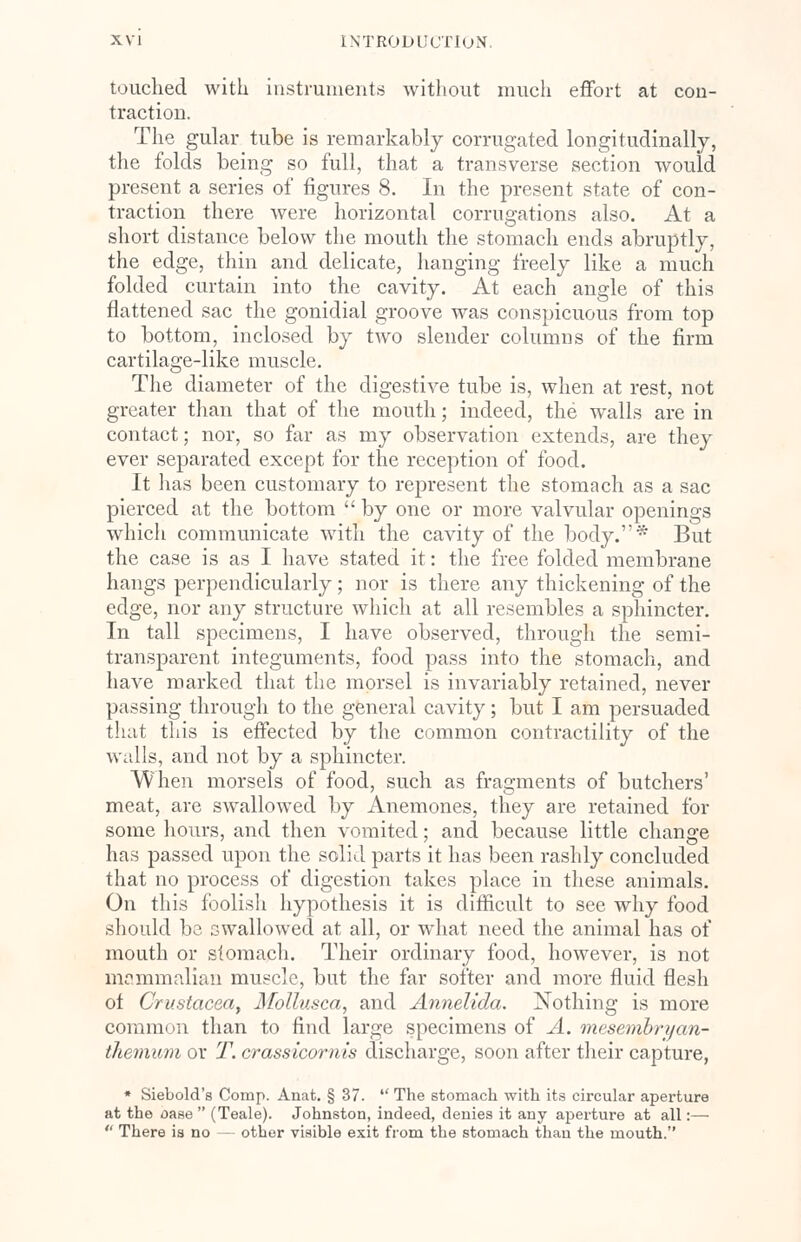 touched with instruments without much effort at con- traction. The gular tube is remarkably corrugated longitudinally, the folds being so full, that a transverse section would present a series of figures 8. In the present state of con- traction there were horizontal corrugations also. At a short distance below the mouth the stomach ends abruptly, the edge, thin and delicate, hanging freely like a much folded curtain into the cavity. At each angle of this flattened sac the gonidial groove was conspicuous from top to bottom, inclosed by two slender columns of the firm cartilage-like muscle. The diameter of the digestive tube is, when at rest, not greater than that of the mouth; indeed, the walls are in contact; nor, so far as my observation extends, are they ever separated except for the reception of food. It has been customary to represent the stomach as a sac pierced at the bottom  by one or more valvular openings which communicate with the cavity of the body.* But the case is as I have stated it: the free folded membrane hangs perpendicularly; nor is there any thickening of the edge, nor any structure which at all resembles a sphincter. In tall specimens, I have observed, through the semi- transparent integuments, food pass into the stomach, and have marked that the morsel is invariably retained, never passing through to the general cavity; but I am persuaded that this is effected by the common contractility of the walls, and not by a sphincter. When morsels of food, such as fragments of butchers' meat, are swallowed by Anemones, they are retained for some hours, and then vomited; and because little change has passed upon the solid parts it has been rashly concluded that no process of digestion takes place in these animals. On this foolish hypothesis it is difficult to see why food should be swallowed at all, or wdiat need the animal has of mouth or stomach. Their ordinary food, however, is not mammalian muscle, but the far softer and more fluid flesh of Crustacea, Mollusca, and Annelida. Nothing is more common than to find large specimens of A. mesembryan- themum or T. crassicomis discharge, soon after their capture, • Siebold's Comp. Anat. § 37.  The stomach with its circular aperture at the oase  (Teale). Johnston, indeed, denies it any aperture at all:—  There is no — other visible exit from the stomach than the mouth.