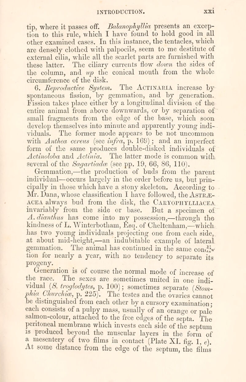 tip, where it passes off. Balanophjllia presents an excep- tion to this rule, which I have found to hold good in all other examined cases. In this instance, the tentacles, which are densely clothed with palpocils, seem to me destitute of external cilia, while all the scarlet parts are furnished with these latter. The ciliary currents flow down the sides of the column, and up the conical mouth from the whole circumference of the disk. 6. Reproductive System. The Actinaria increase by spontaneous fission, by gemmation, and by generation. Fission takes place either by a longitudinal division of the entire animal from above downwards, or by separation of small fragments from the edge of the base, which soon develop themselves into minute and apparently young indi- viduals. The former mode appears to be not uncommon with Anthea cereus (see infra, p. 169); and an imperfect form of the same produces double-disked individuals of Actinoloba and Actinia. The latter mode is common with several of the Sagartiadce (see pp. 19, 66, 86, 110). Gemmation,—the production of buds from the parent individual—occurs largely in the order before us, but prin- cipally in those which have a stony skeleton. According to Mr. Dana, whose classification I have followed, the Astrjs- ACEA always bud from the disk, the Caryophylliacea invariably from the side or base. But a specimen of A. dianthus has come into my possession,—through the kindness of L. Winterbotham, Esq. of Cheltenham,—which has two young individuals projecting one from each side, at about mid-height,—an indubitable example of lateral gemmation. The animal has continued in the same cona- tion for nearly a year, with no tendency to separate its progeny. Generation is of course the normal mode of increase of the race. The sexes are sometimes united in one indi- vidual (8. troglodytes, p. 100); sometimes separate (Stom- pliia ChurchicB, p. 225). The testes and the ovaries cannot be distinguished from each other by a cursory examination; each consists of a pulpy mass, usually of an orange or pale salmon-colour, attached to the free edges of the septa. The peritoneal membrane which invests each side of the septum is produced beyond the muscular layers in the form of a mesentery of two films in contact (Plate XI. fig. 1, e). At some distance from the edge of the septum, the films