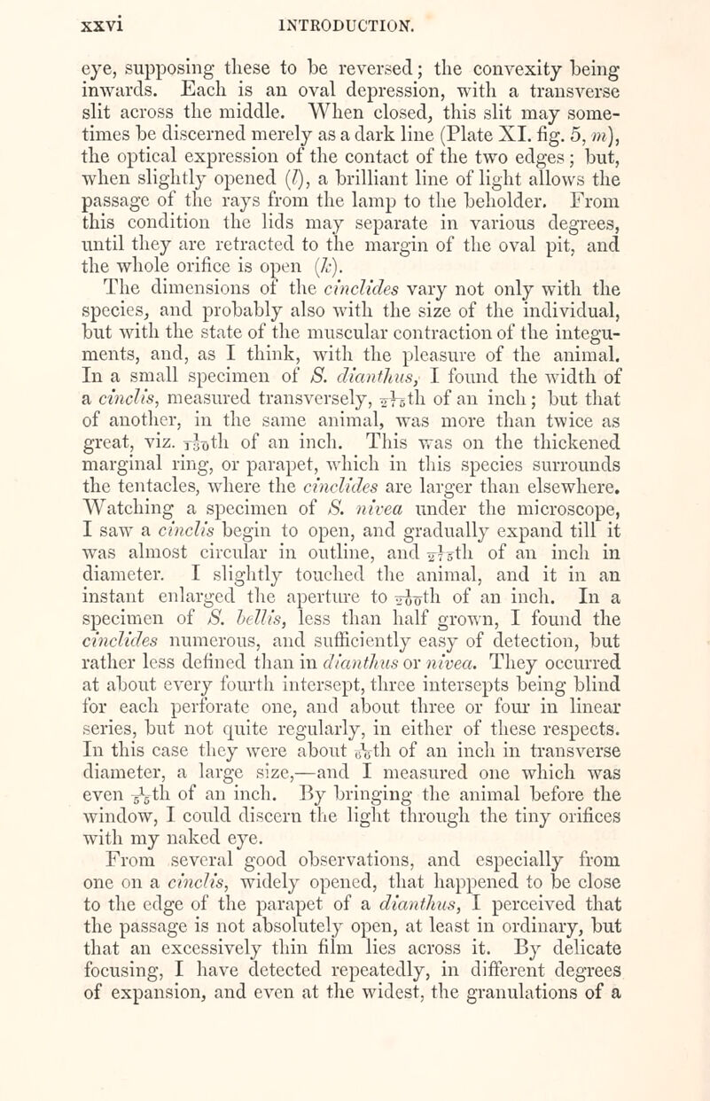 eye, supposing these to be reversed; the convexity being inwards. Each is an oval depression, with a transverse slit across the middle. When closed, this slit may some- times be discerned merely as a dark line (Plate XI. fig. 5, m), the optical expression of the contact of the two edges ; but, when slightly opened (/), a brilliant line of light allows the passage of the rays from the lamp to the beholder. From this condition the lids may separate in various degrees, until they are retracted to the margin of the oval pit, and the whole orifice is open (k). The dimensions of the cinclides vary not only with the species, and probably also with the size of the individual, but with the state of the muscular contraction of the integu- ments, and, as I think, with the pleasure of the animal. In a small specimen of 8. dianthus, I found the width of a cinch's, measured transversely, 275th of an inch; but that of another, in the same animal, was more than twice as great, viz. ribth of an inch. This was on the thickened marginal ring, or parapet, which in this species surrounds the tentacles, where the cinclides are larger than elsewhere. Watching a specimen of 8. nivea under the microscope, I saw a cinch's begin to open, and gradually expand till it was almost circular in outline, and %}5th of an inch in diameter. I slightly touched the animal, and it in an instant enlarged the aperture to --froth of an inch. In a specimen of 8. bellis, less than half grown, I found the cinclides numerous, and sufficiently easy of detection, but rather less defined than in dianthus or nivea. They occurred at about every fourth intersept, three intersepts being blind for each perforate one, and about three or four in linear series, but not quite regularly, in either of these respects. In this case they were about gVth of an inch in transverse diameter, a large size,—and I measured one which was even ^th of an inch. By bringing the animal before the window, I could discern the light through the tiny orifices with my naked eye. From several good observations, and especially from one on a cinch's, widely opened, that happened to be close to the edge of the parapet of a dianthus, I perceived that the passage is not absolutely open, at least in ordinary, but that an excessively thin film lies across it. By delicate focusing, I have detected repeatedly, in different degrees of expansion, and even at the widest, the granulations of a