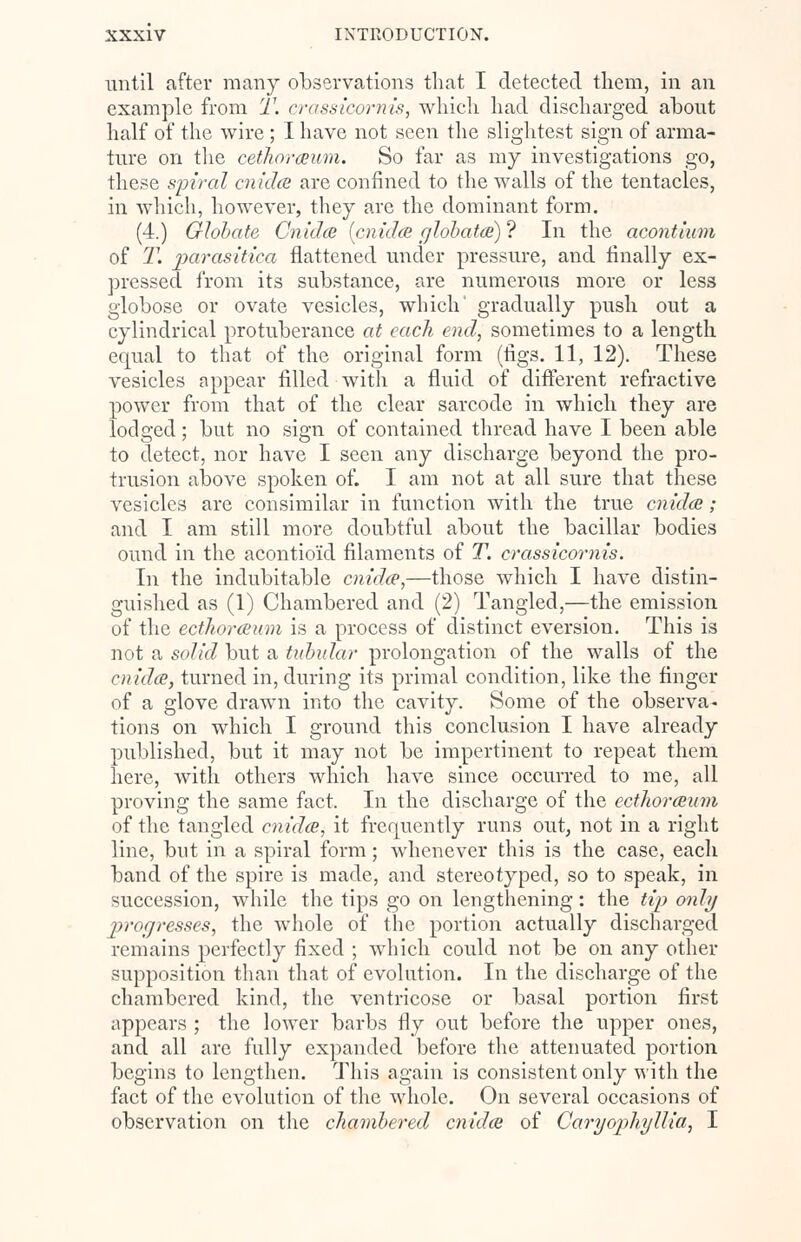 until after many observations that I detected them, in an example from T. crassicornis, which had discharged about half of the wire ; I have not seen the slightest sign of arma- ture on the cethoreeum. So far as my investigations go, these spiral cnidce are confined to the walls of the tentacles, in which, however, they are the dominant form. (4.) Globate Cnidce [cnidtB ylobatci) ? In the acontium of T. parasitica flattened under pressure, and finally ex- pressed from its substance, are numerous more or less globose or ovate vesicles, which' gradually push out a cylindrical protuberance at each end, sometimes to a length equal to that of the original form (figs. 11, 12). These vesicles appear filled with a fluid of different refractive power from that of the clear sarcode in which they are lodged; but no sign of contained thread have I been able to detect, nor have I seen any discharge beyond the pro- trusion above spoken of. I am not at all sure that these vesicles are consimilar in function with the true cnidce; and I am still more doubtful about the bacillar bodies ound in the acontioid filaments of T. crassicornis. In the indubitable cnidce,—those which I have distin- guished as (1) Chambered and (2) Tangled,—the emission of the ecthorceum is a process of distinct eversion. This is not a solid but a tubular prolongation of the walls of the cnidce, turned in, during its primal condition, like the finger of a glove drawn into the cavity. Some of the observa- tions on which I ground this conclusion I have already published, but it may not be impertinent to repeat them here, with others which have since occurred to me, all proving the same fact. In the discharge of the ecthorceum of the tangled cnidce, it frequently runs out, not in a right line, but in a spiral form; whenever this is the case, each band of the spire is made, and stereotyped, so to speak, in succession, while the tips go on lengthening: the tip only progresses, the whole of the portion actually discharged remains perfectly fixed ; which could not be on any other supposition than that of evolution. In the discharge of the chambered kind, the ventricose or basal portion first appears ; the lower barbs fly out before the upper ones, and all are fully expanded before the attenuated portion begins to lengthen. This again is consistent only with the fact of the evolution of the whole. On several occasions of observation on the chambered cnidce of Caryophyllia, I