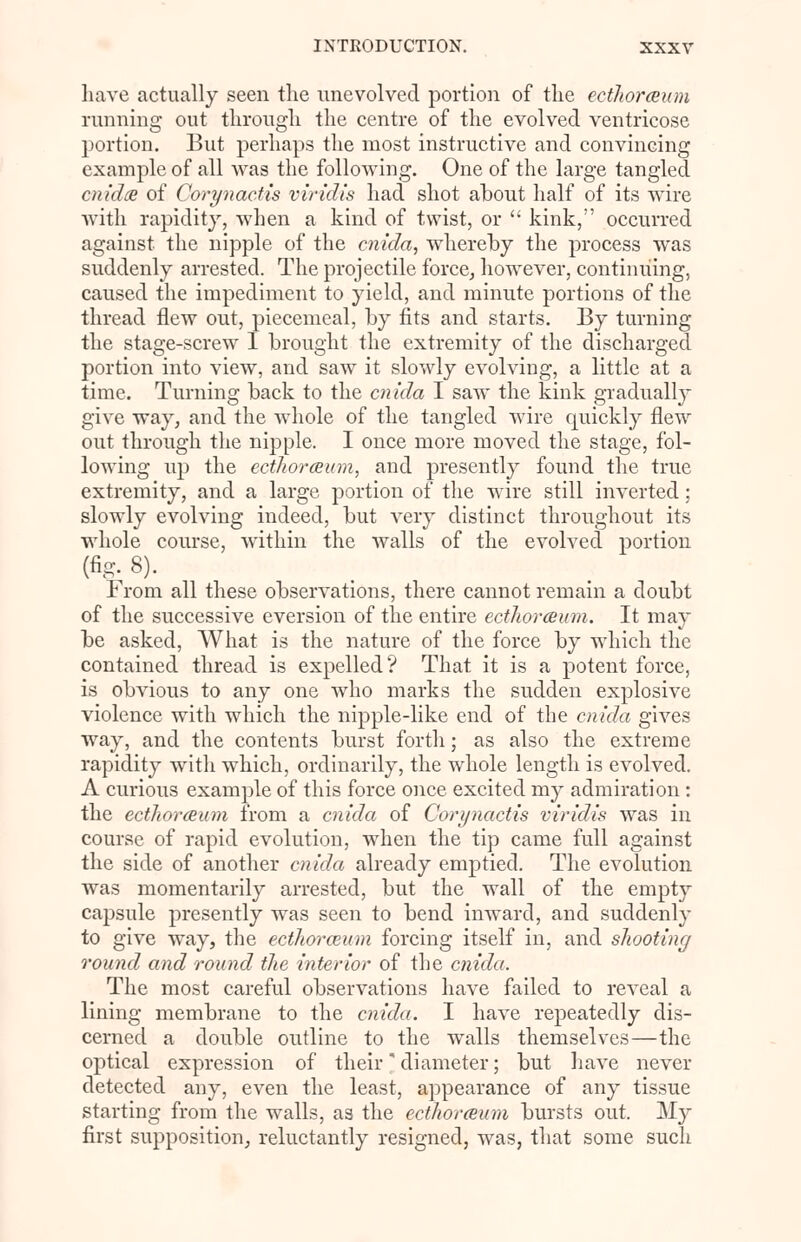 have actually seen the unevolved portion of the ecthoreeum running out through the centre of the evolved ventricose portion. But perhaps the most instructive and convincing example of all was the following. One of the large tangled cnidce of Corynactis viridis had shot about half of its wire with rapidity, when a kind of twist, or  kink, occurred against the nipple of the cnida, whereby the process was suddenly arrested. The projectile force, however, continuing, caused the impediment to yield, and minute portions of the thread flew out, piecemeal, by fits and starts. By turning the stage-screw I brought the extremity of the discharged portion into view, and saw it slowly evolving, a little at a time. Turning back to the cnida I saw the kink gradually give way, and the whole of the tangled wire quickly flew out through the nipple. I once more moved the stage, fol- lowing up the ecthoreeum, and presently found the true extremity, and a large portion of the wire still inverted; slowly evolving indeed, but very distinct throughout its whole course, within the walls of the evolved portion (fig. 8). From all these observations, there cannot remain a doubt of the successive eversion of the entire ecthoreeum. It may be asked, What is the nature of the force by which the contained thread is expelled? That it is a potent force, is obvious to any one who marks the sudden explosive violence with which the nipple-like end of the cnida gives way, and the contents burst forth; as also the extreme rapidity with which, ordinarily, the whole length is evolved. A curious example of this force once excited my admiration : the ecthoreeum from a cnida of Corynactis viridis was in course of rapid evolution, when the tip came full against the side of another cnida already emptied. The evolution was momentarily arrested, but the wall of the empty capsule presently was seen to bend inward, and suddenly to give way, the ecthoreeum forcing itself in, and shooting round and round the interior of the cnida. The most careful observations have failed to reveal a lining membrane to the cnida. I have repeatedly dis- cerned a double outline to the walls themselves—the optical expression of their * diameter; but have never detected any, even the least, appearance of any tissue starting from the walls, as the ecthoreeum bursts out. My first supposition, reluctantly resigned, was, that some such