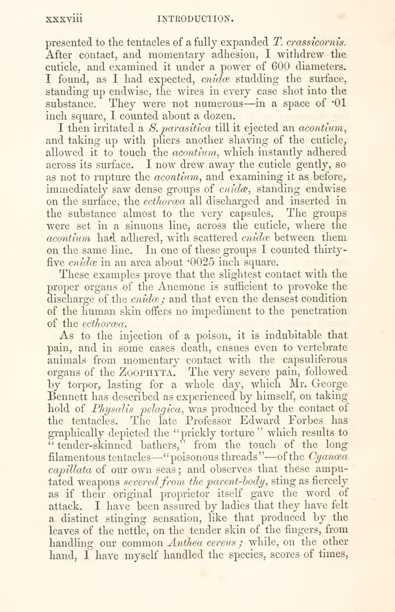 presented to the tentacles of a fully expanded T. crassicornis. After contact, and momentary adhesion, I withdrew the cuticle, and examined it under a power of 600 diameters. I found, as I had expected, cnidce studding the surface, standing up endwise, the wires in every case shot into the substance. They were not numerous—in a space of '01 inch square, I counted about a dozen. I then irritated a S. parasitica till it ejected an acontium, and taking up with pliers another shaving of the cuticle, allowed it to touch the acontium, which instantly adhered across its surface. I now drew away the cuticle gently, so as not to rupture the acontium, and examining it as before, immediately saw dense groups of cnidce, standing endwise on the surface, the ecthorcea all discharged and inserted in the substance almost to the very capsules. The groups were set in a sinuous line, across the cuticle, where the acontium had adhered, with scattered cnidce between them on the same line. In one of these groups I counted thirty- five cnidce in an area about 0025 inch square. These examples prove that the slightest contact with the proper organs of the Anemone is sufficient to provoke the discharge of the cnidce; and that even the densest condition of the human skin offers no impediment to the penetration of the ccthorcea. As to the injection of a poison, it is indubitable that pain, and in some cases death, ensues even to vertebrate animals from momentary contact with the capsuliferous organs of the Zoopiiyta. The very severe pain, followed by torpor, lasting for a whole day, which Mr. George Bennett has described as experienced by himself, on taking- hold of Physalis 'pclacjica, was produced by the contact of the tentacles. The late Professor Edward Forbes has graphically depicted the prickly torture which results to  tender-skinned bathers, from the touch of the long filamentous tentacles—poisonous threads—of the Cyancea capillata of our own seas; and observes that these ampu- tated weapons severed from the parent-body, sting as fiercely as if their original proprietor itself gave the word of attack. I have been assured by ladies that they have felt a distinct stinging sensation, like that produced by the leaves of the nettle, on the tender skin of the fingers, from handling our common Antliea cereus; while, on the other hand, I have myself handled the species, scores of times,