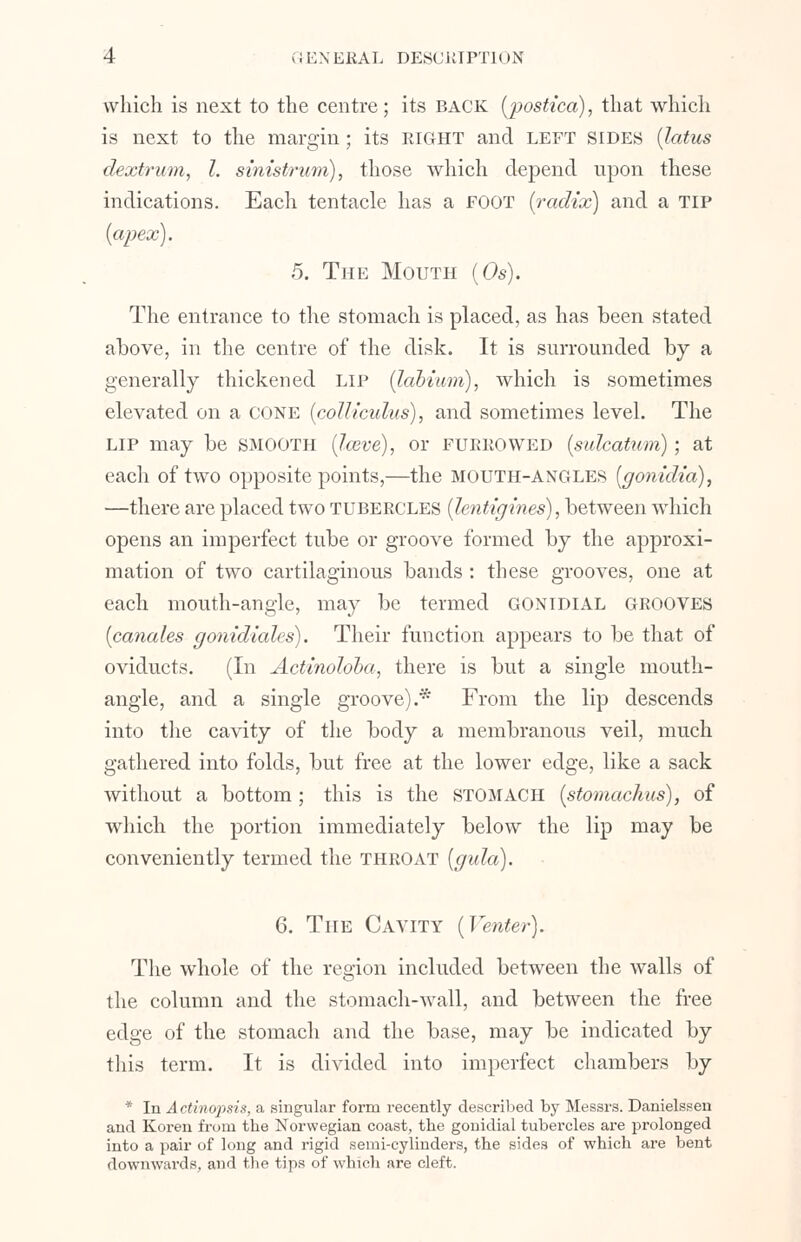 which is next to the centre; its back {postica), that which is next to the margin; its RIGHT and left sides (latus dextrum, I. sinistrum), those which depend upon these indications. Each tentacle has a FOOT {radix) and a TIP {apex). 5. The Mouth (Os). The entrance to the stomach is placed, as has been stated above, in the centre of the disk. It is surrounded by a generally thickened lip {labium), which is sometimes elevated on a cone {colliculus), and sometimes level. The lip may be SMOOTH {Iceve), or furrowed {sidcatum); at each of two opposite points,—the mouth-angles {gonidia), —there are placed two tubercles {lentigines), between which opens an imperfect tube or groove formed by the approxi- mation of two cartilaginous bands : these grooves, one at each mouth-angle, may be termed GONidial grooves {canales gonidiales). Their function appears to be that of oviducts. (In Actinoloba, there is but a single mouth- angle, and a single groove).* From the lip descends into the cavity of the body a membranous veil, much gathered into folds, but free at the lower edge, like a sack without a bottom; this is the STOMACH {stomachus), of which the portion immediately below the lip may be conveniently termed the throat {gula). 6. The Cavity {Venter). The whole of the region included between the walls of the column and the stomach-wall, and between the free edge of the stomach and the base, may be indicated by this term. It is divided into imperfect chambers by * In Actinopsis, a singular form recently described by Messrs. Danielssen and Koren from the Norwegian coast, the gonidial tubercles are prolonged into a pair of long and rigid semi-cylinders, the sides of which are bent downwards, and the tips of which are cleft.