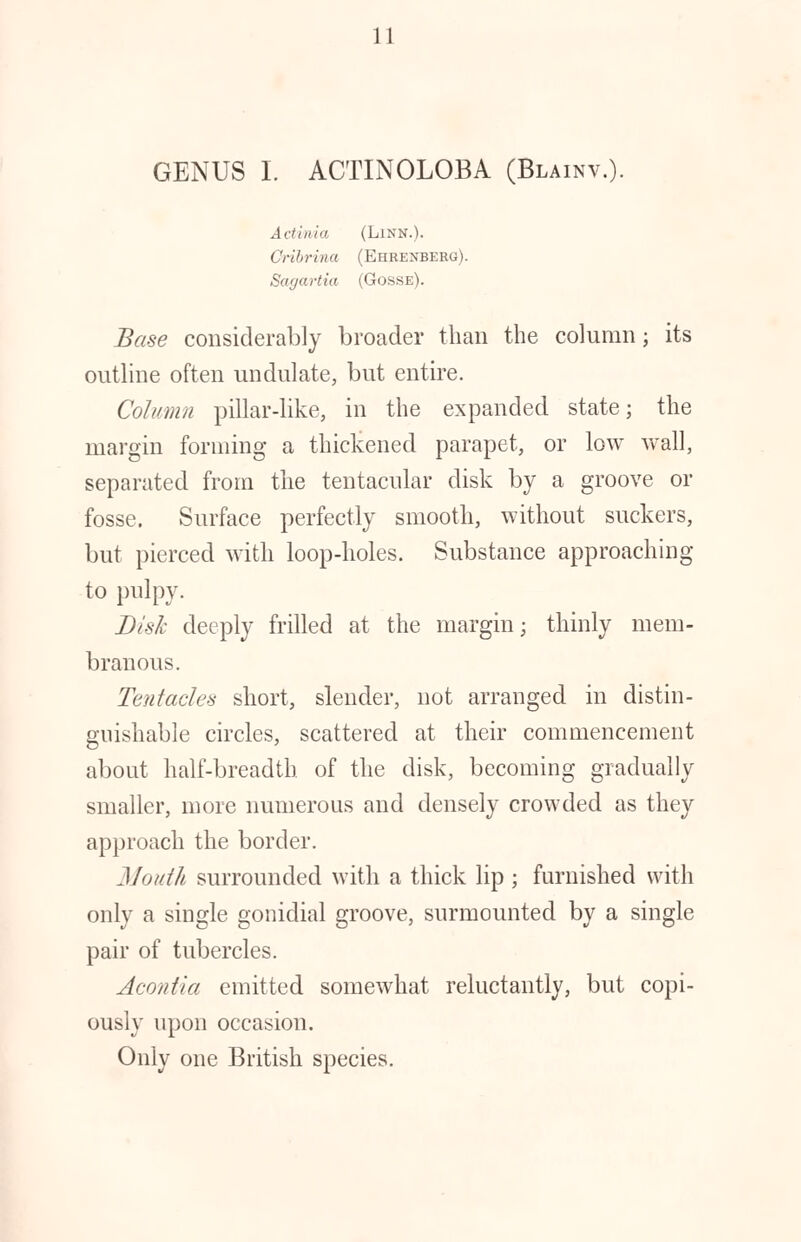 GENUS I. ACTINOLOBA (Blainv.). Actinia (Linn.). Cribrina (Ehrexberg). Sagartia (Gosse). Base considerably broader than the column; its outline often undulate, but entire. Column pillar-like, in the expanded state; the margin forming a thickened parapet, or low wall, separated from the tentacular disk by a groove or fosse. Surface perfectly smooth, without suckers, but pierced with loop-holes. Substance approaching to pulpy. Disk deeply frilled at the margin; thinly mem- branous. Tentacles short, slender, not arranged in distin- guishable circles, scattered at their commencement about half-breadth of the disk, becoming gradually smaller, more numerous and densely crowded as they approach the border. Mouth surrounded with a thick lip ; furnished with only a single gonidial groove, surmounted by a single pair of tubercles. Acontia emitted somewhat reluctantly, but copi- ously upon occasion. Only one British species.