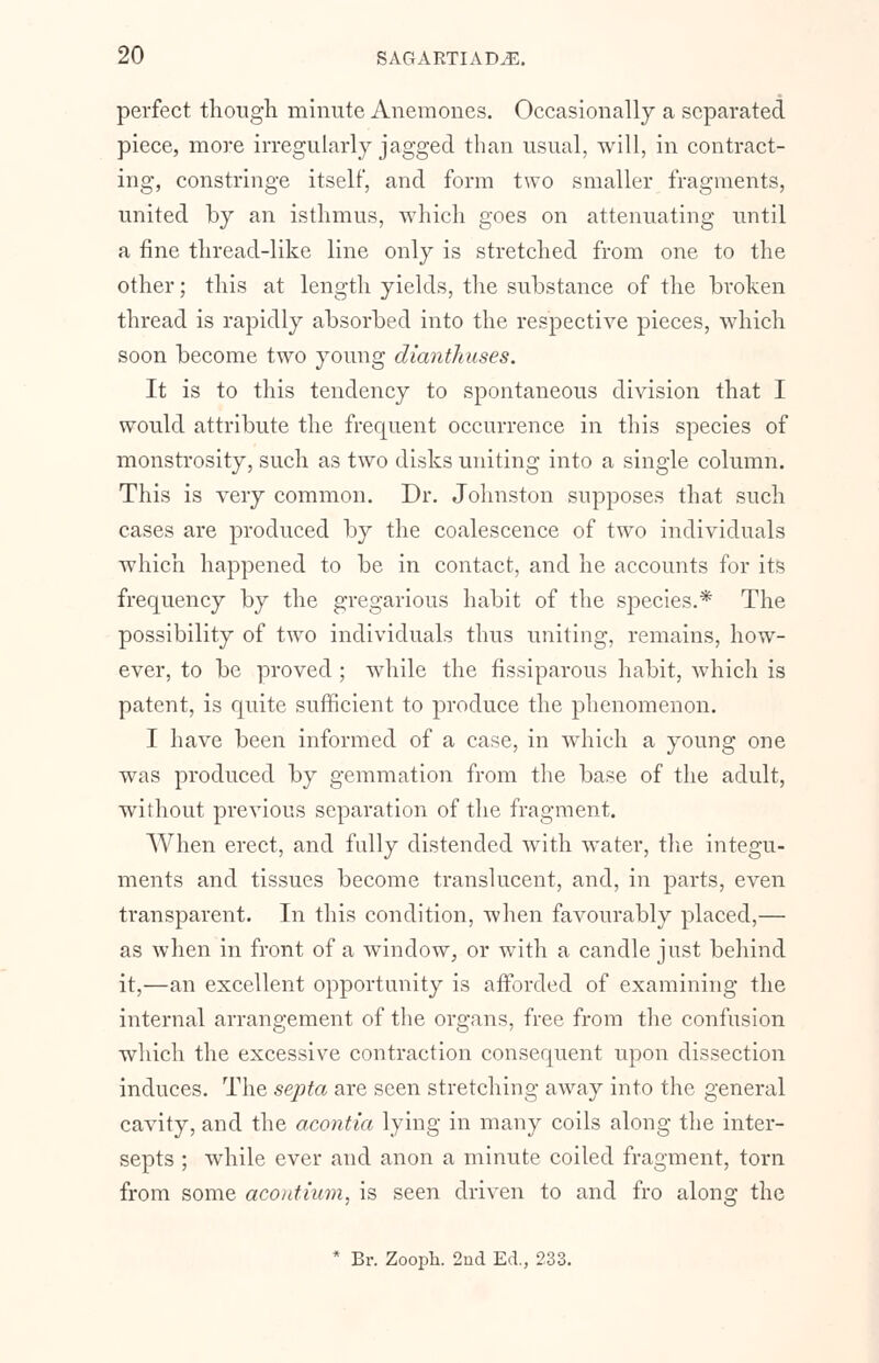 perfect though minute Anemones. Occasionally a separated piece, more irregularly jagged than usual, will, in contract- ing, constringe itself, and form two smaller fragments, united by an isthmus, which goes on attenuating until a fine thread-like line only is stretched from one to the other; this at length yields, the substance of the broken thread is rapidly absorbed into the respective pieces, which soon become two young dianthuses. It is to this tendency to spontaneous division that I would attribute the frequent occurrence in this species of monstrosity, such as two disks uniting into a single column. This is very common. Dr. Johnston supposes that such cases are produced by the coalescence of two individuals which happened to be in contact, and he accounts for its frequency by the gregarious habit of the species.* The possibility of two individuals thus uniting, remains, how- ever, to be proved ; while the fissiparous habit, which is patent, is quite sufficient to produce the phenomenon. I have been informed of a case, in which a young one was produced by gemmation from the base of the adult, without previous separation of the fragment. When erect, and fully distended with water, the integu- ments and tissues become translucent, and, in parts, even transparent. In this condition, when favourably placed,— as when in front of a window, or with a candle just behind it,—an excellent opportunity is afforded of examining the internal arrangement of the organs, free from the confusion which the excessive contraction consequent upon dissection induces. The septa are seen stretching away into the general cavity, and the acontia lying in many coils along the inter- septs ; while ever and anon a minute coiled fragment, torn from some acontiwm, is seen driven to and fro along the * Br. Zooph. 2nd Ed., 233.