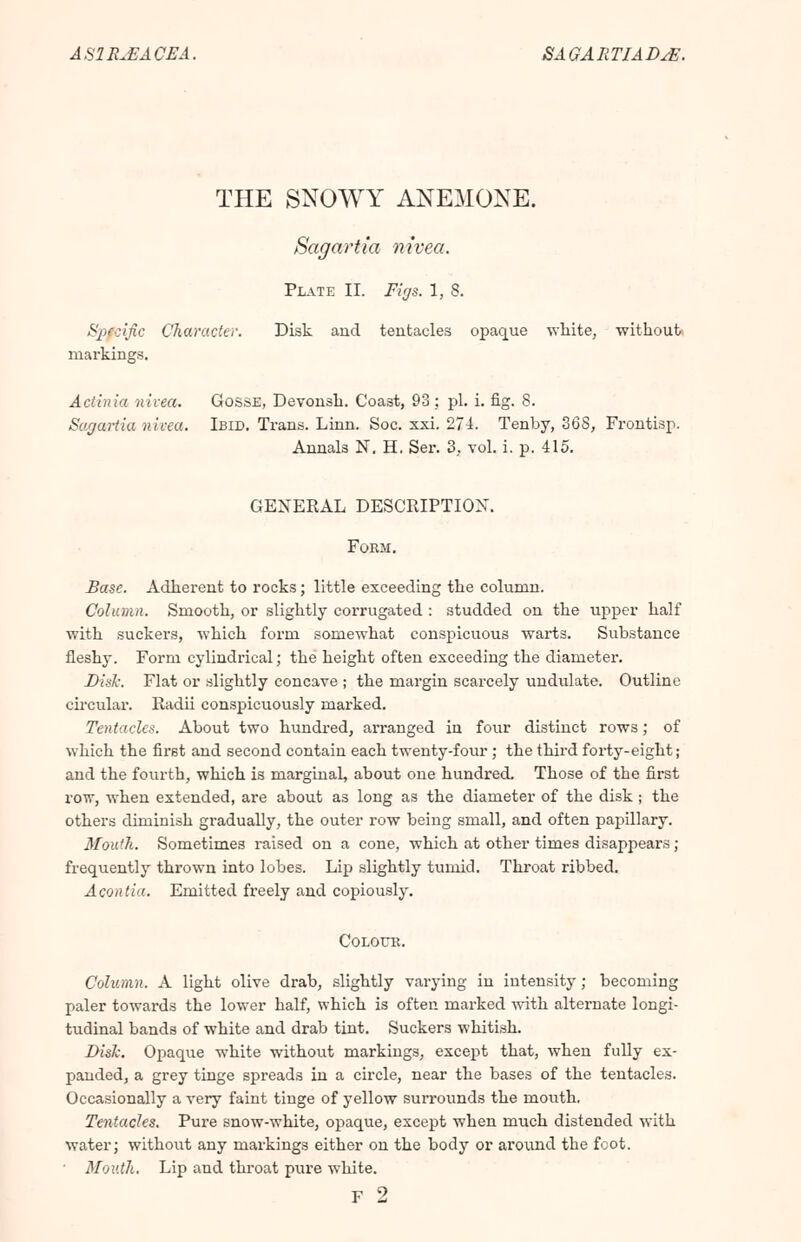 A SI R^ACE A. SAGARTIADsE. THE SNOWY ANEMONE. Sagartia nivea. Plate II. Figs. 1, 8. \ rifle Character. Disk and tentacles opaque white, without markings. Actinia nivea. Gosse, Devonsk. Coast, 93 ; pi. i. fig. 8. Sagartia nivea. Ibid. Trans. Linn. Soc. xxi. 274. Tenby, 368, Frontisp. Annals N. H. Ser. 3, vol. i. p. 415. GENERAL DESCRIPTION. Form. Base. Adherent to rocks; little exceeding the column. Column. Smooth, or slightly corrugated : studded on the upper half with suckers, which form somewhat conspicuous warts. Substance fleshy. Form cylindrical; the height often exceeding the diameter. Disk. Flat or slightly concave ; the margin scarcely undulate. Outline circular. Radii conspicuously marked. Tentacles. About two hundred, arranged in four distinct rows; of which the first and second contain each twenty-four; the third forty-eight; and the fourth, which is marginal, about one hundred. Those of the first row, when extended, are about as long as the diameter of the disk ; the others diminish gradually, the outer row being small, and often papillary. Mouth. Sometimes raised on a cone, which at other times disappears ; frequently thrown into lobes. Lip slightly tumid. Throat ribbed. Acontia. Emitted freely and copiously. Colour. Column. A light olive drab, slightly varying in intensity; becoming paler towards the lower half, which is often marked with alternate longi- tudinal bands of white and drab tint. Suckers whitish. Disk. Opaque white without markings, except that, when fully ex- panded, a grey tinge spreads in a circle, near the bases of the tentacles. Occasionally a very faint tinge of yellow surrounds the mouth. Tentacles. Pure snow-white, opaque, except when much distended with water; without any markings either on the body or around the foot. • Mouth. Lip and throat pure white. F 2