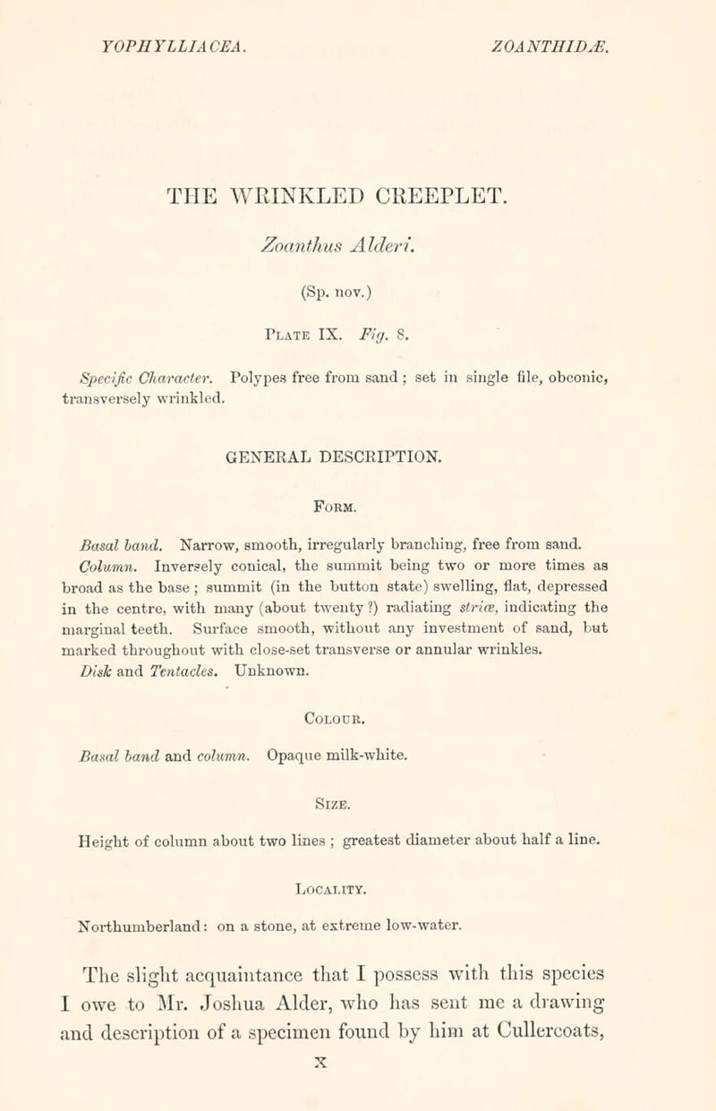 YOPEYLLIACEA. ZOANTHID.E. THE WRINKLED CREEPLET. Zoanthus Alderi. (Sp. nov.) Plate IX. Fig. 8. Specific Character. Polypes free from sand ; set in single file, obconic, transversely wrinkled. GENERAL DESCRIPTION. Form. Basal band. Narrow, smooth, irregularly branching, free from sand. Column. Inversely conical, the summit being two or more times as broad as the base ; summit (in the button state) swelling, flat, depressed in the centre, with many (about twenty ?) radiating strive, indicating the marginal teeth. Surface smooth, without any investment of sand, but marked throughout with close-set transverse or annular wrinkles. Disk and Tentacles. Unknown. Colour. Basal band and column. Opaque milk-white. Size. Height of column about two lines ; greatest diameter about half a line. Locality. Northumberland: on a stone, at extreme low-water. The slight acquaintance that I possess with this species I owe to Mr. Joshua Alder, who has sent me a drawing and description of a specimen found by him at Cullercoats, x