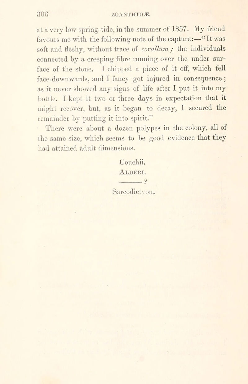at a very low spring-tide, in the summer of 1857. My friend favours me with the following note of the capture:—It was soft and fleshy, without trace of corallum ; the individuals connected by a creeping fibre running over the under sur- face of the stone. I chipped a piece of it off, which fell face-downwards, and I fancy got injured in consequence ; as it never showed any signs of life after I put it into my bottle. I kept it two or three days in expectation that it might recover, but, as it began to decay, I secured the remainder by putting it into spirit. There were about a dozen polypes in the colony, all of the same size, which seems to be good evidence that they had attained adult dimensions. Couchii. Alderi. ? Sarcodictyon.