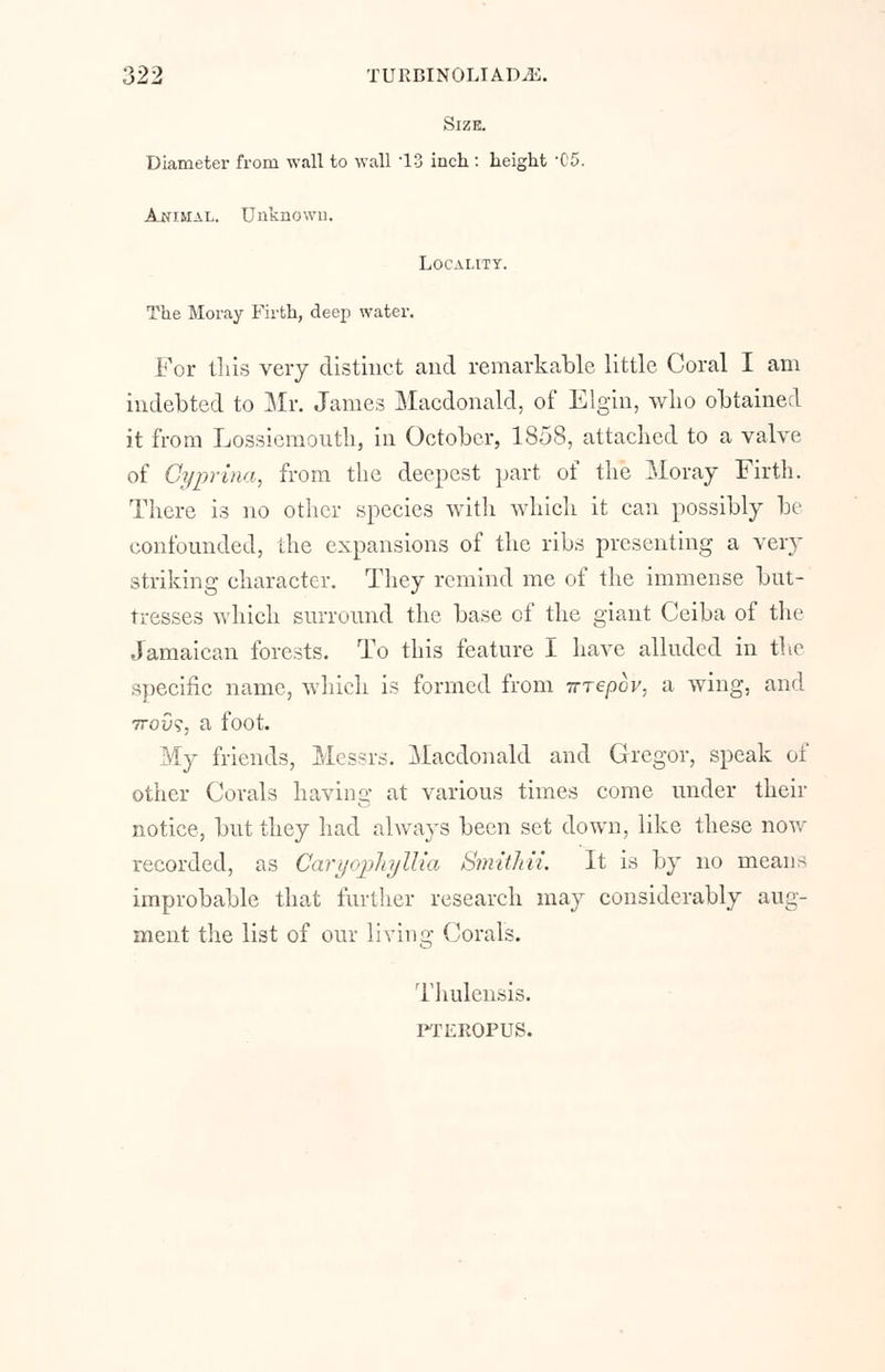 Size. Diameter from wall to wall -13 inch : height '05. Animal. Unknown. Locality. The Moray Firth, deep water. For this very distinct and remarkable little Coral I am indebted to Mr. James Macdonald, of Elgin, who obtained it from Lossiemouth, in October, 1858, attached to a valve of Cyprina, from the deepest part of the Moray Firth. There is no other species with which it can possibly be confounded, the expansions of the ribs presenting a very striking character. They remind me of the immense but- tresses which surround the base of the giant Ceiba of the Jamaican forests. To this feature I have alluded in the specific name, which is formed from irrepbv, a wing, and 7rou?, a foot. My friends, Messrs. Macdonald and Gregor, speak of other Corals havins; at various times come under their notice, but they had always been set down, like these now recorded, as Caryopliyllia Smithii. It is by no mean> improbable that further research may considerably aug- ment the list of our living Corals. Thulensis.