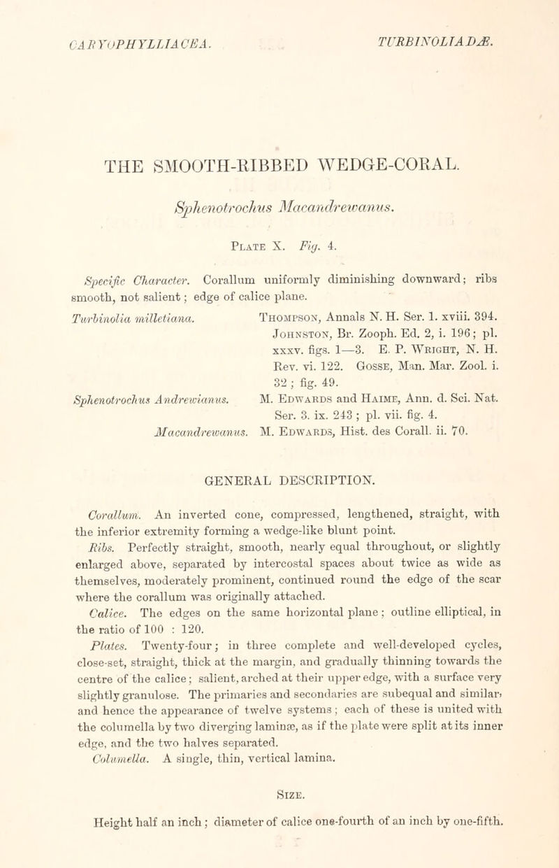 CABYoPHYLLIACEA. TURB1N0LIADJB. THE SMOOTH-RIBBED WEDGE-CORAL. Sphenotrochus Macandrewanus. Plate X. Fig. 4. Specific Character. Corallum uniformly diminishing downward; ribs smooth, not salient; edge of calice plane. Turbinolia milletiana. Thompson, Annals N. H. Ser. 1. xviii. 394. Johnston, Br. Zooph. Ed. 2, i. 196; pi. xxsv. figs. 1—3. E. P. Wright, N. H. Rev. vi. 122. Gosse, Man. Mar. Zool. i. 32 ; fig. 49. Sphenotrochus Andrewianus. M. Edwards and Haime, Ann. d. Sci. Nat. Ser. 3. ix. 243 ; pi. vii. fig. 4. Macandrewanus. M. Edwards, Hist, des Corall. ii. 70. GENERAL DESCRIPTION. Corallum. An inverted cone, compressed, lengthened, straight, with the inferior extremity forming a wedge-like blunt point. Bibs. Perfectly straight, smooth, nearly equal throughout, or slightly enlarged above, separated by intercostal spaces about twice as wide as themselves, moderately prominent, continued round the edge of the scar where the corallum was originally attached. Calice. The edges on the same horizontal plane; outline elliptical, in the ratio of 100 : 120. Plates. Twenty-four; in three complete and well-developed cycles, close-set, straight, thick at the margin, and gradually thinning towards the centre of the calice ; salient, arched at their upper edge, with a surface very slightly granulose. The primaries and secondaries are subequal and similar, and hence the appearance of twelve systems ; each of these is united with the columella by two diverging laruime, as if the plate were split at its inner edge, and the two halves separated. Columella. A single, thin, vertical lamina. Size. Height half an inch; diameter of calice one-fourth of an inch by one-fifth.
