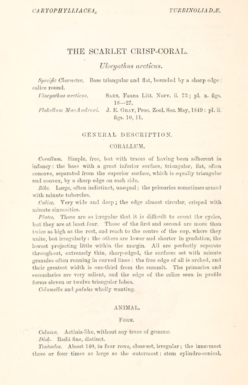 THE SCARLET CRISP-CORAL. Ulocyathus arcticus. Specific diameter. Base triangular and flat, bounded by a sharp edge : calice round. f'/ocyathus arcticus. Saes, Fauna Litt. Norv. ii. 73 ; pi. x. figs. 18—27. Flaoelliim MacAndrewi. J. E. Gray, Proc. Zool. Soc. May, 1849 : pi. ii. figs. 10, 11. GENERAL DESCRIPTION. CORALLUM. Corallum. Simple, free, but with traces of having been adherent in infancy : the base with a great inferior surface, triangular, flat, often concave, separated from the superior surface, which is equally triangular and convex, by a sharp edge on each side. Ribs. Large, often indistinct, unequal; the primaries sometimes armed with minute tubercles. Calice. Very wide and deep; the edge almost circidar, crisped with minute sinuosities. Plates. These are so irregular that it is difficult to count the cycles, but they are at least four. Those of the first and second are more than twice as high as the rest, and reach to the centre of the cup, where they unite, but irregularly : the others are lower and shorter in gradation, the lowest projecting little within the margin. All are perfectly separate throughout, extremely thin, sharp-edged, the surfaces set with minute granules often running in curved lines : the free edge of all is arched, and their greatest width is one-third from the summit. The primaries and secondaries are very salient, and the edge of the calice seen in profile forms eleven or twelve triangular lobes. Columella and palules wholly wanting. ANIMAL. Form. Column. Actinia-like, without any trace of gemma?. Disk. Radii fine, distinct. Tentacles. About 140, in four rows, close-set, irregular; the innermost three or four times as large as the outermost: stem cylindro-conical,