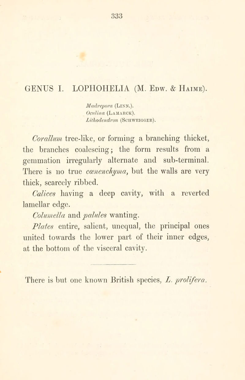 GENUS I. LOPHOHELIA (M. Edw. & Haime). Madrepora (Linn.). Oculina (Lamarck). Litkodendron (Sghweigger). Corattum tree-like, or forming a branching thicket, the branches coalescing; the form results from a gemmation irregularly alternate and sub-terminal. There is no true ccenencliyma, but the walls are very thick, scarcely ribbed. Calices having a deep cavity, with a reverted lamellar edge. Columella and pahdes wanting. Plates entire, salient, unequal, the principal ones united towards the lower part of their inner edges, at the bottom of the visceral cavity. There is but one known British species, L. prolifera.