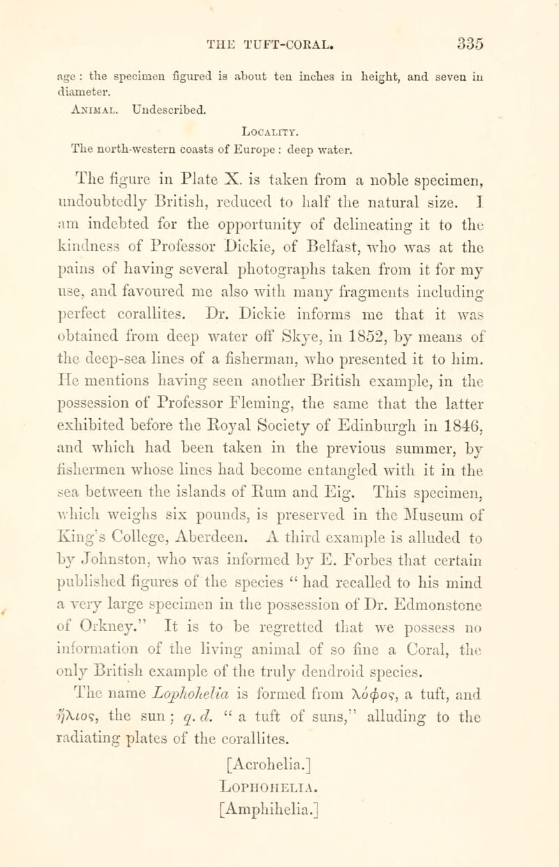 age : the specimen figured is about teu inches in height, and seven in diameter. Animal. Undescribed. Locality. The north-western coasts of Europe : deep water. The figure in Plate X. is taken from a noble specimen, undoubtedly British, reduced to half the natural size. 1 am indebted for the opportunity of delineating it to the kindness of Professor Dickie, of Belfast, who was at the pains of having several photographs taken from it for my use, and favoured me also with many fragments including perfect corallites. Dr. Dickie informs me that it was obtained from deep water off Skye, in 1852, by means of the deep-sea lines of a fisherman, who presented it to him. He mentions having seen another British example, in the possession of Professor Fleming, the same that the latter exhibited before the Eoyal Society of Edinburgh in 1846. and which had been taken in the previous summer, by fishermen whose lines had become entangled with it in the sea between the islands of Rum and Eig. This specimen, which weighs six pounds, is preserved in the Museum of King's College, Aberdeen. A third example is alluded to by Johnston, who was informed by E. Forbes that certain published figures of the species  had recalled to his mind a very large specimen in the possession of Dr. Edmonstonc of Orkney. It is to be regretted that we possess no information of the living animal of so fine a Coral, the only British example of the truly dendroid species. The name LopkoJielia is formed from \6<po<;, a tuft, and >;A.to?, the sun ; q. d.  a tuft of suns, alluding to the radiating plates of the corallites. [Acrohelia.] LOPHOHELIA. [Amphihelia.]