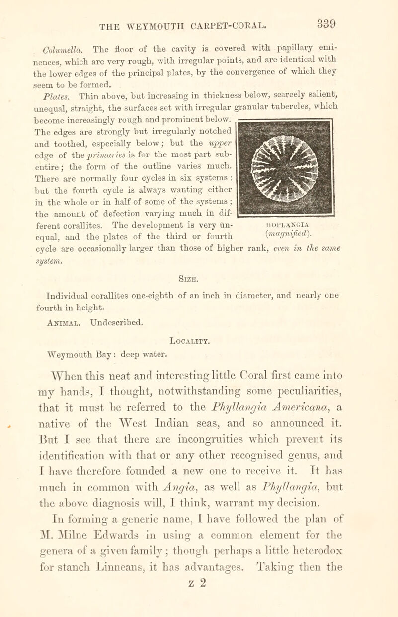 Columella. The floor of the cavity is covered with papillary emi- nences, which are very rough, with irregular points, and are identical with the lower edges of the principal plates, by the convergence of which they seem to be formed. Plates. Thin above, but increasing in thickness below, scarcely salient, unequal, straight, the surfaces set with irregular granular tubercles, which become increasingly rough and prominent below. The edges are strongly but irregularly notched and toothed, especially below; but the upper edge of the primaries is for the most part sub- eutire; the form of the outline varies much. There are normally four cycles in six systems : but the fourth cycle is always wanting either in the whole or in half of some of the systems ; the amount of defection varying much in dif- ferent corallites. The development is very un- hoplangia equal, and the plates of the third or fourth {magnified). cycle are occasionally larger than those of higher rank, even in the same system. Size. Individual corallites one-eighth of an inch in diameter, and nearly cne fourth in height. Animal. Undescribed. Locality. Weymouth Bay : deep water. When this neat and interesting little Coral first came into my hands, I thought, notwithstanding some peculiarities, that it must be referred to the Phyllangia Americana, a native of the West Indian seas, and so announced it. But I see that there are incongruities which prevent its identification with that or any other recognised genus, and I have therefore founded a new one to receive it. It lias much in common with Angia, as well as Phyllangia, but the above diagnosis will, I think, warrant my decision. In forming a generic name, I have followed the plan of M. Milne Edwards in using a common element for the genera of a given family; though perhaps a little heterodox for stanch Linneans, it has advantages. Taking then the z 2