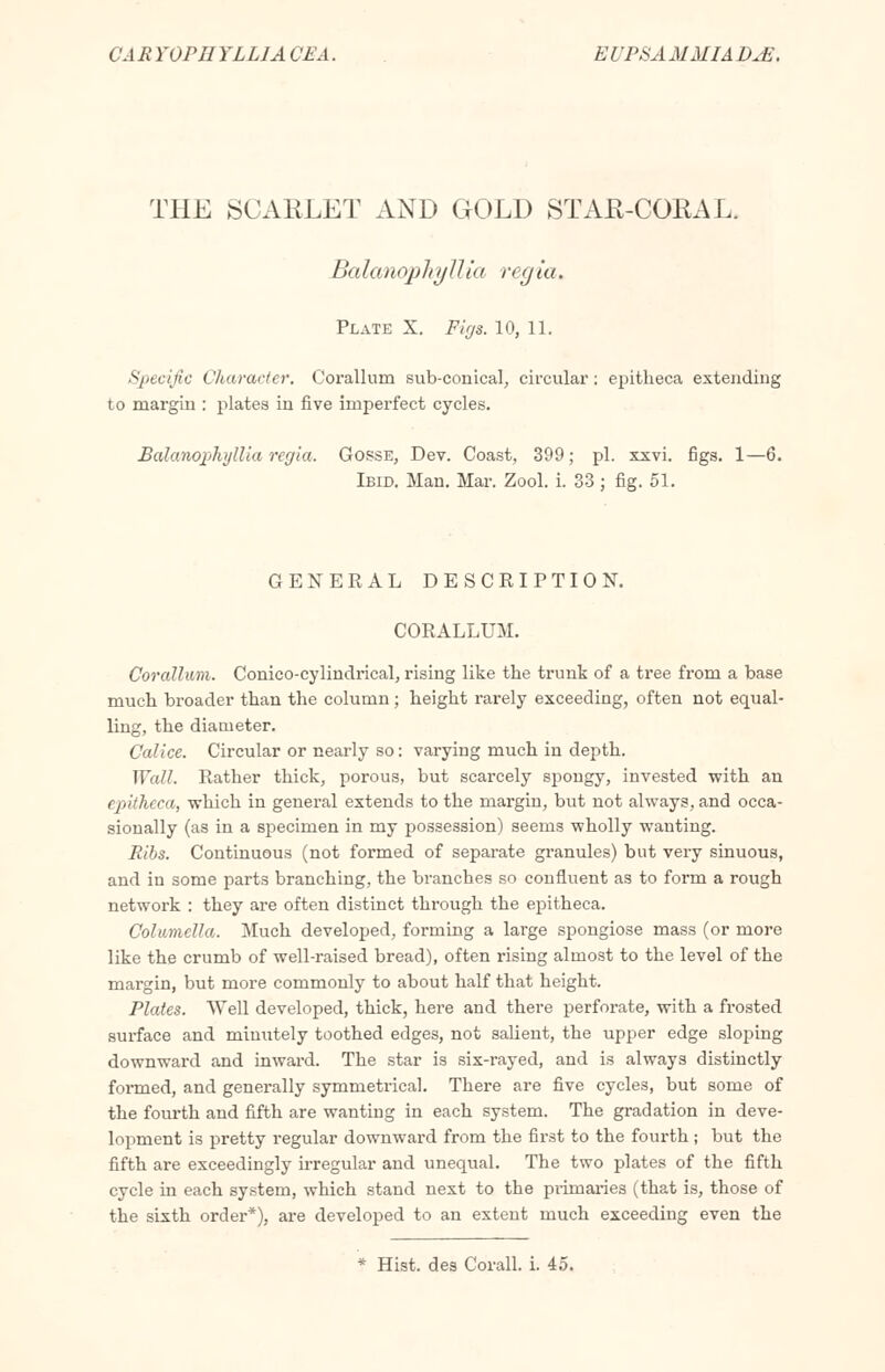 CARY0PI1YLLIA CEA. EUPSAMMIAD^. THE SCARLET AND GOLD STAR-CORAL. Balanophyllia regia. Plate X. Figs. 10, 11. Specific Character. Corallum sub-conical, circular: epitheca extending to margin : plates in five imperfect cycles. Balanophyllia regia. Gosse, Dev. Coast, 399; pi. xxvi. figs. 1—6. Ibid. Man. Mar. Zool. i. 33 ; fig. 51. GENERAL DESCRIPTION. CORALLUM. Corallum. Conico-cylindrical, rising like the trunk of a tree from a base much broader than the column; height rarely exceeding, often not equal- ling, the diameter. Calice. Circular or nearly so: varying much in depth. Wall. Rather thick, porous, but scarcely spongy, invested with an epitheca, which in general extends to the margin, but not always, and occa- sionally (as in a specimen in my possession) seems wholly wanting. Ribs. Continuous (not formed of separate granules) but very sinuous, and in some parts branching, the branches so confluent as to form a rough network : they are often distinct through the epitheca. Columella. Much developed, forming a large spongiose mass (or more like the crumb of well-raised bread), often rising almost to the level of the margin, but more commonly to about half that height. Plates. Well developed, thick, here and there perforate, with a frosted surface and minutely toothed edges, not salient, the upper edge sloping downward and inward. The star is six-rayed, and is always distinctly formed, and generally symmetrical. There are five cycles, but some of the fourth and fifth are wanting in each system. The gradation in deve- lopment is pretty regular downward from the first to the fourth ; but the fifth are exceedingly irregular and unequal. The two plates of the fifth cycle in each system, which stand next to the primaries (that is, those of the sixth order*), are developed to an extent much exceeding even the * Hist, des Corall. i. 45.