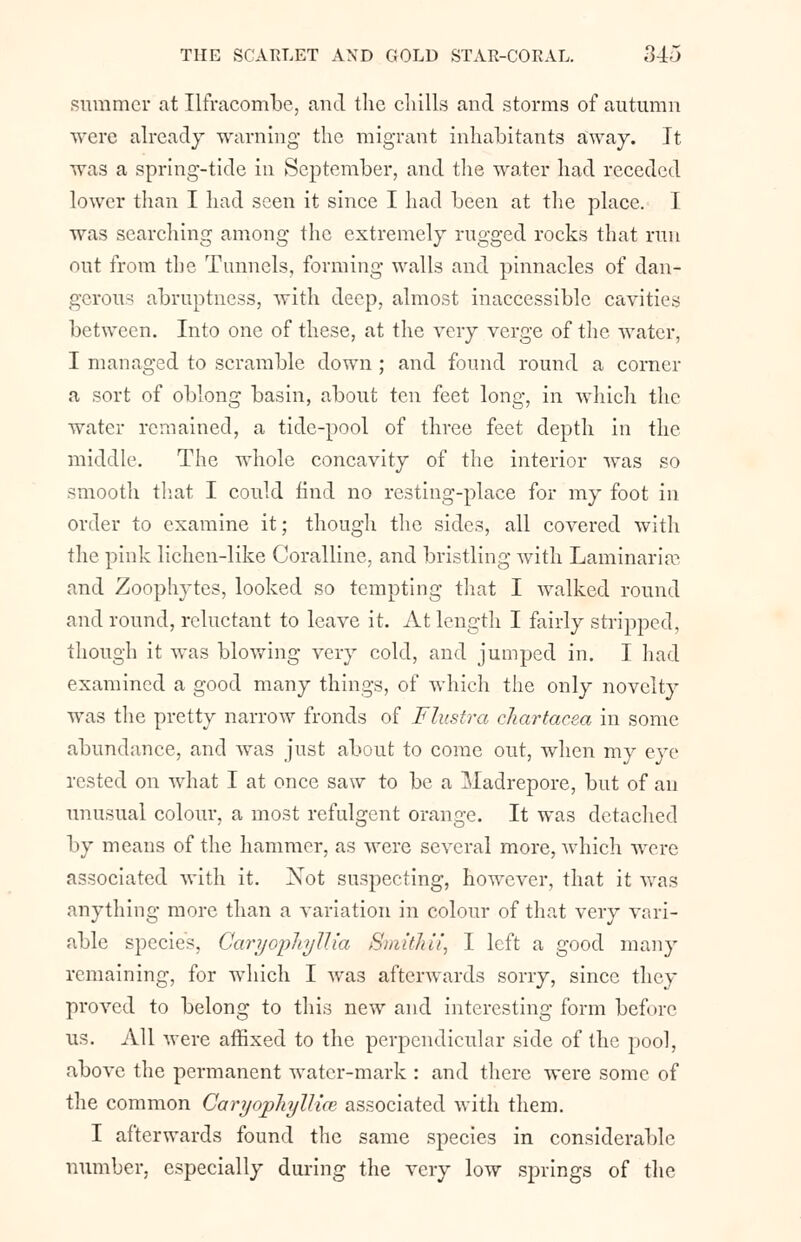 summer at Ilfracombe, and the chills and storms of autumn were already warning the migrant inhabitants away. It was a spring-tide in September, and the water had receded lower than I had seen it since I had been at the place. I was searching among the extremely rugged rocks that run out from the Tunnels, forming walls and pinnacles of dan- gerous abruptness, with deep, almost inaccessible cavities between. Into one of these, at the very verge of the water, I managed to scramble down ; and found round a corner a sort of oblong basin, about ten feet long, in which the water remained, a tide-pool of three feet depth in the middle. The whole concavity of the interior was so smooth that I could find no resting-place for my foot in order to examine it; though the sides, all covered with the pink lichen-like Coralline, and bristling with LaminariV and Zoophytes, looked so tempting that I walked round and round, reluctant to leave it. At length I fairly stripped, though it was blowing very cold, and jumped in. I had examined a good many things, of which the only novelty was the pretty narrow fronds of Flustra chartacea in some abundance, and was just about to come out, when my eye rested on what I at once saw to be a Madrepore, but of an unusual colour, a most refulgent orange. It was detached by means of the hammer, as were several more, which were associated with it. Xot suspecting, however, that it was anything more than a variation in colour of that very vari- able species, Garyophyllia Smithii, I left a good many remaining, for which I was afterwards sorry, since they proved to belong to this new and interesting form before us. All were affixed to the perpendicular side of the pool, above the permanent water-mark : and there were some of the common Carijophyllice associated with them. I afterwards found the same species in considerable number, especially during the very low springs of the