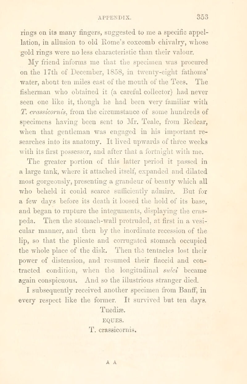 rings on its many ringers, suggested to rae a specific appel- lation, in allusion to old Rome's coxcomb chivalry, whose gold rings were no less characteristic than their valour. My friend informs me that the specimen was procured on the 17th of December, 1858, in twenty-eight fathoms' water, about ten miles east of the mouth of the Tees. The fisherman who obtained it (a careful collector) had never seen one like it, though he had been very familiar with T. wassicornis, from the circumstauce of some hundreds of specimens having been sent to Mr. Teale, from Redcar, when that gentleman was engaged in his important re- searches into its anatomy. It lived upwards of three weeks with its first possessor, and after that a fortnight with me. The greater portion of this latter period it passed in a large tank, where it attached itself, expanded and dilated most gorgeously, presenting a grandeur of beauty which all who beheld it could scarce sufficiently admire. But for a few days before its death it loosed the hold of its base, and began to rupture the integuments, displaying the cras- peda. Then the stomach-wall protruded, at first in a vesi- cular manner, and then by the inordinate recession of the lip, so that the plicate and corrugated stomach occupied the whole place of the disk. Then the tentacles lost their power of distension, and resumed their flaccid and con- tracted condition, when the longitudinal sulci became again conspicuous. And so the illustrious stranger died. I subsequently received another specimen from Banff, in every respect like the former. It survived but ten days. Tuedise. EQUES. T. crassicornis. A A