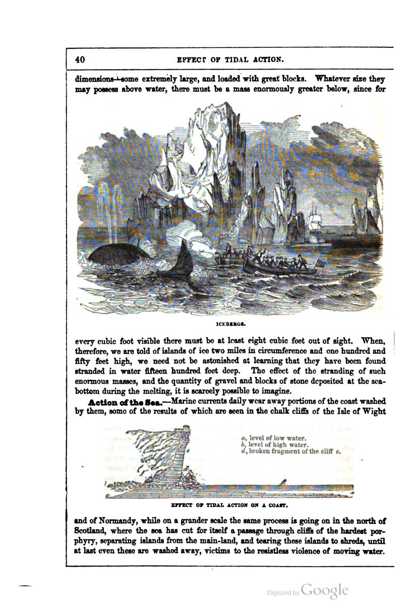 dimensions-^-flome extremely large, and loaded with great Blocks. Whateyer size they may possess abore water, there must be a mass enormously greater below, since for ICKBKKG8. every cubic foot visible there must bo at least eight cubic feet out of sight. When, therefore, we are told of islands of ice two miles in circumference and one hundred and fifty feet high, wo need not be astonished at learning that they have been found stranded in water fifteen hundred feet deep. The effect of the stranding of such enormous masses, and the quantity of gravel and blocks of stone deposited at the sea- bottom during the melting, it is scarcely possible to imagine. Action of the 8«a.—Marine currents daily wear away portions of the coast washed by them, somo of the results of which are seen in the chalk cli£& of the Isle of Wight a, level of low water, t, level yf high wuler. rf, broken fragment of tiie cliff e. EFFECT OF TIDAL ACTIOM Olt A COAflT. and of Normandy, while on a grander scale the same process is going on in the north of Scotland, where the sea has cut for itself a passage through difib of the hardest por- phyry, separating islands from the main-land, and tearing these islands to shreds, untQ at last even these are washed away, victims to the resistless violence of moving water.