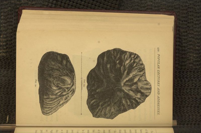 FIG. 53- .15 centimetres. FIG. 54-