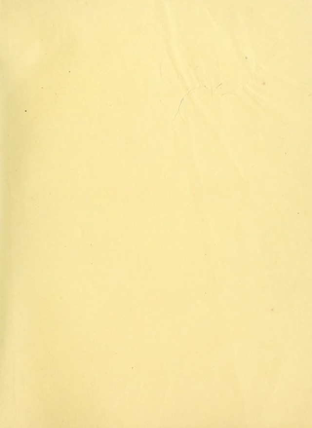 digitised image 3