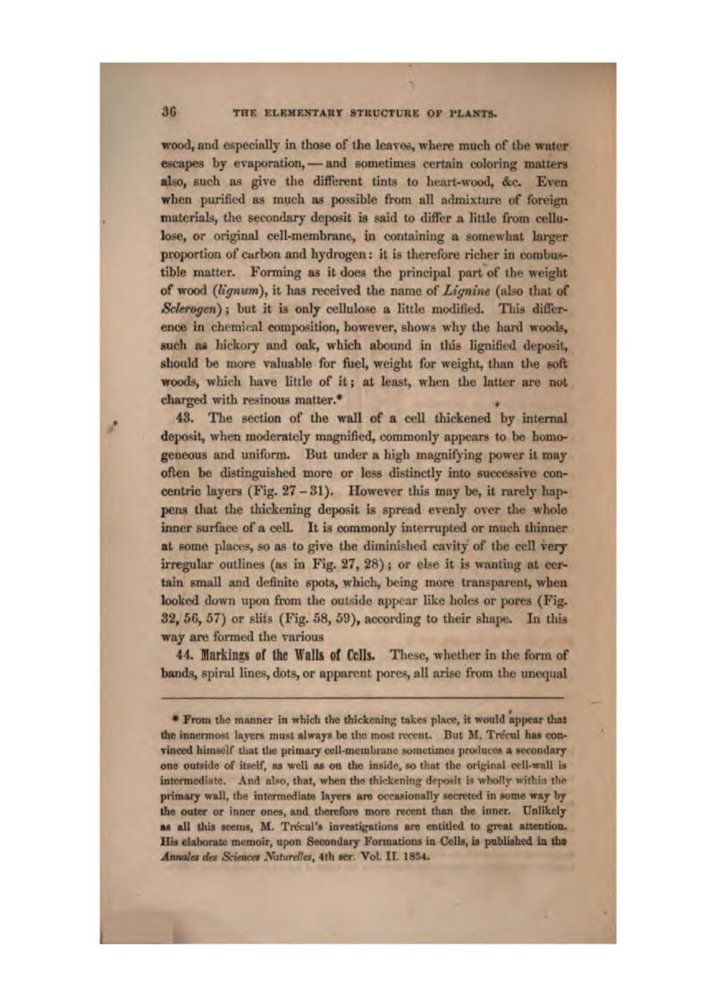 wood, and GspeciftUy in thase of the leai'&s, whtre mucli of llie water escapes by evaporation, — and eometinwis certain coloring matters aiao^ Euch aa give the diiFerent tints to lieiirt-wo<x1, &.c Even when purified as mucli as poi^aibtc from nil admixture of foreign malcriala, the secondary deposit ia said to differ a little from cellu- lose, or original cell-membrane, in containing a somewhat larger proportion of Ciifbon and hydrogen; it is therefore richer in corabu.^- tible matter. Forming as it doea the principal piirt of the weight of wood (lignum)f it has received the name of Lignim (ako that of Scltro^en); hut it is only eelluIo,^e a little modified. This difltr- enoe in cherait-al composition, however, shows why the hmd woods, such Bfl hickory oitd oak, which Abound in this lignifled deposit, should be more valuable for ftiel, weight for weight, than the soft woods, which have lilllc- of it; at least, when the latter are not charged with resinous matter.* « 43. The seetion of the wall of a cell thickened by internal depa>4it, wlien moderately niagnificd, commonly appears to be homo- geneous and uniform. But under a high ms^ifying power It may often be distinguished more or lesa distinctly into successive con- centric layers (Ftg, 27-31). However this may be, it i-arel}' hap- pens ibat the thickening deposit is spread evenly over the whole inner surface of a cell. It is corajnonly interrupted or much thinner at fiome plact^s, so as to give the diraiiiLshed cavity of the cell veiy irregultu' outlines {ua in Yig. 27, 28) ; or else it it* wanting at cet* tain email and definite spota, wliich, being more transparent, when looked down upon from the outside apptar like hole;* or porea (Fig. 32f 5C, 57) or .slits (Fig. 58, 59), according to their ebapc In this way are formed the various 44. Markings, of Itic Walls of Cells, These, whether in the form of bands, spiral lines, dots, or apparent pores, all aiise from the unequal * From the miuinrr in which the thrckcnin^ takes place, it wonld appear that tho inucmioat InTcra must bIwrjh to the most n-Tcnt. But M. Ti^l-wI Iim con- vinced himseir tljut tlie primiii^ txll-mi'iBbratiu sumctunc^i prtxltitcx a xccondaTj ons outiiide of itself, bs well lu on the inside, so tbnt tUo onelnal c*ll-wall U intetTiicdirite. Am! nlfio, tlijit, when the thickening deposit if? wli«IIy wtthlii rliP primary wa.ll, the inteimcdiBtu Isyers am opcftsionBlly secreted iti soniA way by the outer or Inner ones, and dicrefora more recent tliiin the inner. Unlikely *» »U thb geenis, M. Trc'cal's inveatif^tiona are entitled to gusat att«ntiOD« lit!) ctobomte memoir, upon Secondary Formations in Cells, ia publiabed ta ttu Arm^a da Scitnca Natartdts, itii icr. Vol. IL 1854.