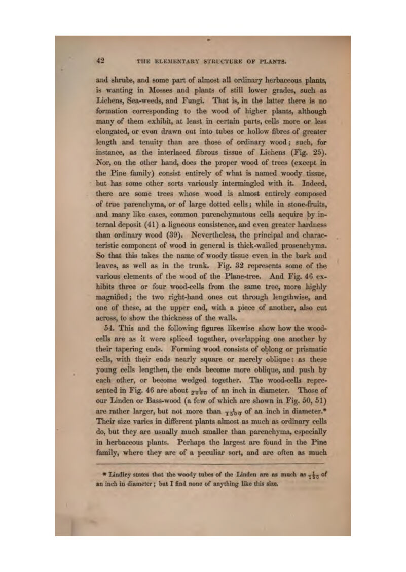 and BtiniW, and some pari of almost nil onlinorj Lerbaccoui plaa|%,i i* Miuiling in Mo.ises and pituits of still lower grades, such i Lichens, Sea-weeds, and Fungi. TImt is, in the latter there is no formation corresponding to the wood of liigher plants, altbmigh many of them exhibit, sit lesut in certain parts, cclU more or less elongated, or evun dmwn out into tubes or lioUow fibres of gi-eater length aiid teiuiily than nre those of ordiimry wood ; guch, for histance, &a tlie interlarcd fibrous tissue of Lichena (Fig. 2.5). Nor, on the other hand, does the proper wood of trees (except in llie Pine family) consist entirely of what is nnincd woody tissue, but lias some other sorts vai'iously intermingled with it. Indfcd, there lire some treejj whose wood li almost entirely eompoi-ed of tnie parenchjina, or of large dotted cells; while in stone-fruits, imd many like cJises, common parenchymutous cells acquire by in- ternal deposit (41) a ligneous consistence, ajnd even greater liardnesis tlian ordtniiry wood (39). Nevertheless, the principal and eliaruc- teristic component of wood in general is thick-walled proaenclijiiia- So that tliit) taked llie name of woody tissue even in tlie Lurk und leaves, as well bs in the trunk. Fig. 32 refiresents some of the various elements of the wood of the Plane-tree. And Fig. 46 ex- hibits three or four wood-ceUs from the game tree, more higlily magnifiedj; the two right-hand ones cut througU lengdiwise, and one of these^ at the upper en<^ witli & piece of tmother, abo cut across, 1o show the thickness of the walU. 54. Tliis and tlie following figures likewise show how the wood- cells are as it were epliced together, overlapping one another by their tapering ends. Forming wood consists of oblong or prismatic cells, with thtfir ends nearly squai'e or merely oblique: as these young cells lengtlien, the ends become more oblique, and push by each other, or become wedged together. The wood-celLt repre- sented in Fig. 46 are about jttVu **' ** i'^'^ * diameter. Those of our Linden or Bass-wood (a few of which ore ebowa in Fig. &0, 51) are rather larger, but not more tlmn yjtj j of an inch in diameter.* Their size varies in different plants almost as much afi oiMlinary cells do, but they are usually much smaller than parenchyma, e^tpedally in herbaceous pliintj^. Perhaps the largest are found in the Pine family, where tliey are of a peculiar sort, and are often fts touch * Liodlej states dmt the woody tabea of th« Linden are u roiich *a ^^^ of u iafh in diiunttcr ; but I fiiid noni; ot Anything Ukc t!ik siu.