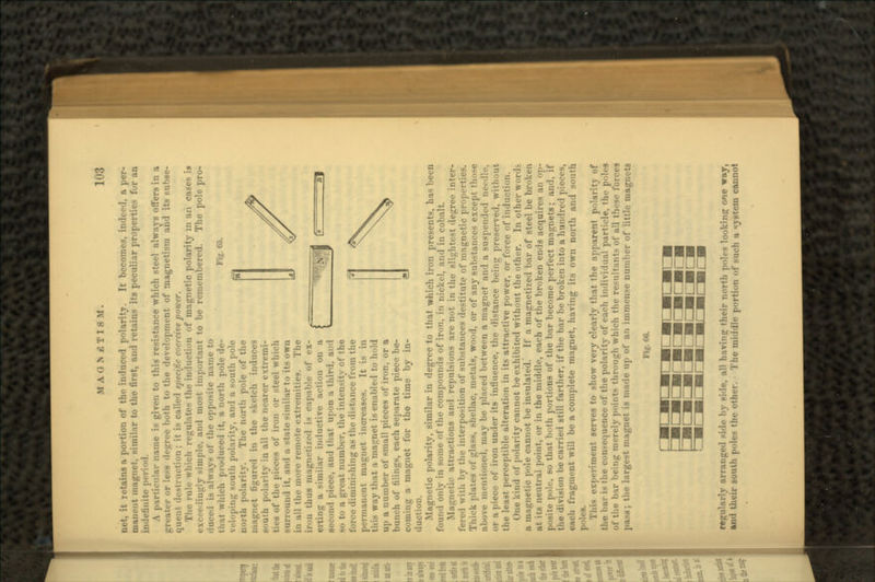 net, it retains a portion of the induced polarity. It becomes, indeed, a per- manent magnet, similar to the first, and retains its peculiar properties fur an indefinite period. A particular name is given to this resistance which steel always offers in a ^ree both to the development of magnetism and its subse- quent destruction: it is called specific coercive power. ul.- which regulates the induction of magnetic polarity in aii cases ia .ingly simple, and most important to be remembered. The pole pro- i is always of the opposite name to that which produced it, a north pole de- Fig.66. veloping south polarity, ami a south pole north polarity. The north pole of the magnet figured in the sketch induces south polarity in all the nearer extremi- of iron or steel which Mil-round it. and a state similar to its own in all the more remote extremities. The iron thus magneti/cd is capable of ex- ertinir a similar inductive action on a i piece, and that upon a third, and so to a great number, the intensity of the force diminishing as the distance from the permanent magnet increases. It i- in this way that a magnet is enabled to hold up a number of small pieces of iron, or a bunch of filings, each separate piece be- coming a magnet for the time by in- duction. Magnetic polarity, similar in degree to that which iron presents, has been found only in some of the compounds of iron, in nickel, and in cobalt. letie attractions and repulsions are not in the slightest degree inter- fered with hy the interposition of substances destitute of magnetic properties. Thick plates of glass, shellac, metals, wood, or of any substances except tlio^e above mentioned, may be placed between a magnet and a suspended needle, or apiece of iron under its influence, the distance being preserved, without the least perceptible alteration in its attractive power, or force of induction. One kind of polarity cannot be exhibited without the other. In other words ietic pole cannot be insulated. If a magnetized bar of steel be broken at its neutral point, or in the middle, each of the broken ends acquires an op- posite pole, so that both portions of the bar become perfect magnets; and, if the division be carried still farther, if the bar be broken into a hundred pieces, each fragment will be a complete magnet, having its own north and south This experiment serves to show very clearly that the apparent polarity of the bar is the consequence of the polarity of each individual particle, the poles of the bar being merely points through which the resultants of all these forces the largest magnet is made up of an immense number of little magnets Fig. 66. repulnrly arranged side by side, all having their north poles looking one way, and their south pok-s the other. The middle portion of such a «yetern cannot