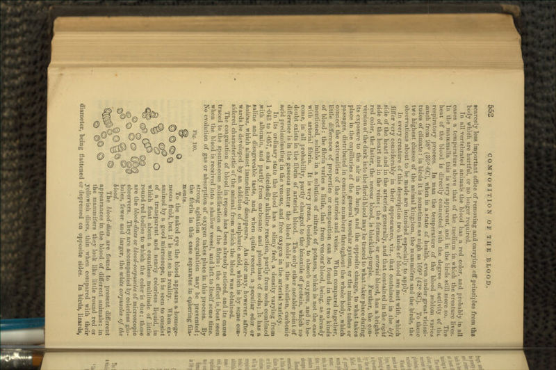 scarcely less important office of removing and carrying off principles from the body which are hurtful, or no longer required. In all vertebrated animals the blood has a red color, and probably in all cases a temperature above that of the medium in which the creature lives. In the mammalia this is very apparent, and in the birds still more so. The heat of the blood is directly connected with the degree of activity of the respiratory process. In man the temperature of the blood seldom varied much from 98° (36°-6C), when in a state of health, even under great vicissi- tudes of climate: in birds it is sometimes as nigh as 109° (42°-8C). To those two highest classes of the animal kingdom, the mammifers and the birds, the observations about to be made are intended especially to apply. In every creature of this description two kinds of blood are met with, which differ very considerably in their appearance, viz., that contained in the left side of the heart and in the arteries generally, and that contained in the right side of the heart and in the veins ; the former, or arterial blood, lias a bright- red color, the latter, the venous blood, is blackish-purple. Further, the con- version of the dark into the florid blood may be traced to what takes place during its exposure to the air in the lungs, and the opposite change, to what takes place in the capillaries of the general vascular system, or the minute tubes or passages, distributed in countless numbers throughout the whole body, which connect the extremities of the arteries and veins. When compared together, little difference of properties or composition can .be found in the two kinds of blood: the fibrin varies a little, that from venousblood, being, as already mentioned, soluble in a solution of nitrate of potassa, which is not the case with arterial fibrin. It is very prone, besides, to absorb oxygen, and to be- come, in all probability, partly changed to the binoxide of protein, which no doubt exists in the fibrin of arterial blood. The only other notable point of difference is in the gaseous matter the blood holds in the solution, carbonic acid predominating in the venous, and free oxygen in the arterial variety. In its ordinary state the blood has a slimy feel, a density varying from 1-043 to 1-057, and a decidedly alkaline reaction, partly from'soda combined .with albumin, and partly from carbonate and phosphate of soda;.it has a Baline and disagreeable taste, and, when quite recent, a peculiar edor or halitus, which almost immediately disappears. An odor may, however, after- wards be developed by an addition of sulphuric acid, which is by sojne con- sidered characteristic of the animal from which the blood was obtained. The coagulation of blood in repose has been already noticed, and its cause traced to the spontaneous solidification of the fibrin: the effect is.best seen when the blood is received into a shallow vessel, and left to itself some time. No evolution of gas or absorption of oxygen takes place in this process. By strong agitation coagulation may be prevented; the fibrin in this case separates in cphering fila- ments. To the naked eye the blood appears a homoge- neous fluid, but it is not so in reality. When ex- amined by a good microscope, it is seen to consist of a transparent and nearly colorless liquid, in which float about a countless multitude of little round red bodies to which the color is due; these are the blood-discs or blood-corpuscles of microscopic observers. They are accompanied by colorless glo- bules, fewer and larger, the white corpuscles of the blood. The blood-discs are found to present different appearances in the blood of different animals: in the mammifers they look like little round red or yellowish discs, thin when compared with their diameter, being flattened or depressed on opposite sides. In birds, lizards,