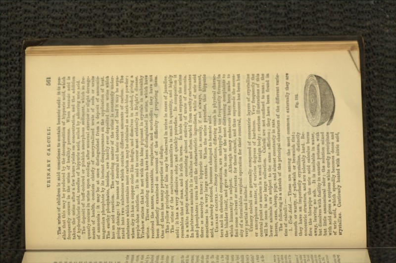 URINAKY CALCUI >,1 The urine of children is said sometimes to contain bentoie Mid: Hit pas* eible that this may be produced by the decomposition of bippurie Midi vbk frequently occurs in the urine of healthy persons. When benofo Mid I taken, the urine after a few hours yields on concentration, and the eiliHllem of hydrochloric acid, needles of hippurio acid, soiled by adhering unc soid The deposit of buff-colored or pinkish amorphous sediment, which so fre- quently occurs in urine upon cooling, after unuimal exercise ortttgnt 4era»£s ments of health, consists chiefly of uncrystallixed orate of tffda or urale of ammonia: it may be at once distinguished from a deposit of •»•«•]« magnesian phosphate by its instant disappearance on the application of btwt. The earthy phosphates, besides, are hardly ever deposited from nrinc wMcb hi- an acid reaction. The coloring matter of the urine is going change: by means of neutral and basic acetate of lead it may be trpa- ofcmrbon. Tbo into two substances which contain different substance which contains most carbon may be obtained as a dark-blue powder i when dry it has a copper color like indigo, and dissolves in alcohol, giving a purple-blue solution. It is said to occur most evidently in Brigbt's limits Virchow states that he met with this blue pigment in crystals in unhealthy urine. Three coloring matters have been distinguished in urine, which bave received the names, uroxanthin, uroglaucin, and urorhodin: they bave not been perfectly examined on account of the difficulty of preparing then*. One of them has many properties of indigo. Tho yellow principle of bile may be observed in urine in cases of jaundice. The urine of the carnivorous mammifera is small in quantity, and highly acid; it has a very offensive odor, and quickly putrefies. In composition ft resembles that of man, and is rich in urea. In birds and serpenta tbe is a white pasty substance, consisting almost entirely of urate of In herbivorous animals it is alkaline and often turbid from earthy c and phosphates: urea is still the characteristic ingredient, while of uric aeid there is scarcely a trace; hippurie acid is usually, if not always, present, sometimes to a very large extent. When the urine putrefies, this hippurie acid, as already noticed, becomes changed to bensoic acid. URINARY CALCULI. —Stony concretions, differing much in physical charac- ters and in chemical composition, are unhappily but too frequently formed in the bladder itself, and give rise to one of the most distressing complaints to which humanity is subject. Although many endeavors have been Made to fin I M.me s< Ivent or solvents for these calculi, and thus supersede tbe aeeea- sity of a formidable surgical operation for their removal, success has bee* bo* very partial and limited. Urinary calculi are generally composed of concentric layers of crjttaliM or amorphous matter, of various degrees of hardness. Very frequently tbe central point or nucleus is a small foreign body: curious illustrations of tbie will be seen in any large collection. Calculi are not confined tosaaa: tbe lower animals are subject to the same affliction; they bave been frmad Im horses, oxen, sheep, pigs, and almost constantly in rats The following is a sketch of the principal characters of tbe d ties of calculi: — 1. Uric Aeid.— These are among tbe most common: externally tWj are smooth or warty, of yellowish or brow they have an imperfectly crystalline, distinctly concentric structure, and are tolerably hard. Be- fore the blowpipe the uric acid calculus burns away, leaving no ash. It is insoluble in wat«r, but dissolves with facility in caustic potaana, with but little ammoniacal odor; tbe solution mixed with acid *f uric irystalllt tle ammoniacal oor; te souton mxe id gives a copious white curdy precipitate acid, which speedily becomes dense aad lLne. Cautiously heated with nitric acid,