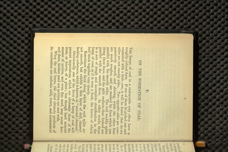 ON THE FOKMA.TION OF COAL. THE lumps of coal in a coal-scuttle very often have a roughly cubical form. If one of them be picked out and examined with a little care, it will be found that its six sides are not exactly alike. Two opposite sides are com paratively smooth and shining, while the other four are much, rougher, and are marked by lines which run parallel with the smooth sides. The coal readily splits along these lines, and the split surfaces thus formed are parallel with the smooth faces. In other words, there is a sort of rough and incomplete stratification in the lump of coal, as if it were a book, the leaves of which had stuck together very closely. Sometimes the faces along which the coal splits arc not smooth, but exhibit a thin layer of dull, charred- looking substance, which is known as mineral charcoal/' Occasionally one of the faces of a lump of coal will present impressions, which are obviously those of the stem, or leaves, of a plant; but though hard mineral masses of pyrites, and even fine mud, may occur here and there, neither sand nor pebbles are met with. When the coal burns, the chief ultimate products of its combustion are carbonic acid, water, and ammoniacal