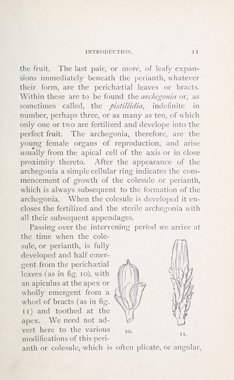 the fruit. The last pair, or more, of leafy expan- sions immediately beneath the perianth, whatever their form, are the perichaetial leaves or bracts. Within these are to be found the archegonia or, as sometimes called, the pistillidia, indefinite in number, perhaps three, or as many as ten, of which only one or two are fertilized and develope into the perfect fruit. The archegonia, therefore, are the young female organs of reproduction, and arise usually from the apical cell of the axis or in close proximity thereto. After the appearance of the archegonia a simple cellular ring indicates the com- mencement of growth of the colesule or perianth, which is always subsequent to the formation of the archegonia. When the colesule is developed it en- closes the fertilized and the sterile archegonia with all their subsequent appendages. Passing over the intervening period we arrive at the time when the cole- sule, or perianth, is fully developed and half emer- gent from the perichaetial leaves (as in fig. 10), with an apiculus at the apex or wholly emergent from a whorl of bracts (as in fig. u) and toothed at the apex. We need not ad- vert here to the various modifications of this peri- anth or colesule, which is often plicate, or angular 10.