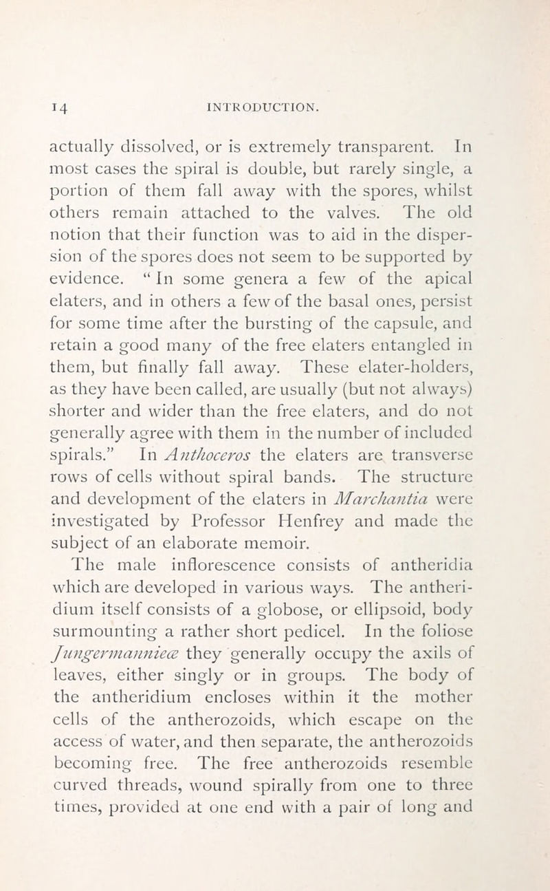 actually dissolved, or is extremely transparent. In most cases the spiral is double, but rarely single, a portion of them fall away with the spores, whilst others remain attached to the valves. The old notion that their function was to aid in the disper- sion of the spores does not seem to be supported by evidence.  In some genera a few of the apical elaters, and in others a few of the basal ones, persist for some time after the bursting of the capsule, and retain a good many of the free elaters entangled in them, but finally fall away. These elater-holders, as they have been called, are usually (but not always) shorter and wider than the free elaters, and do not generally agree with them in the number of included spirals. In AntJioceros the elaters are transverse rows of cells without spiral bands. The structure and development of the elaters in Marchantia were investigated by Professor Henfrey and made the subject of an elaborate memoir. The male inflorescence consists of antheridia which are developed in various ways. The antheri- dium itself consists of a globose, or ellipsoid, body surmounting a rather short pedicel. In the foliose Jungermauniece they generally occupy the axils of leaves, either singly or in groups. The body of the antheridium encloses within it the mother cells of the antherozoids, which escape on the access of water, and then separate, the antherozoids becoming free. The free antherozoids resemble curved threads, wound spirally from one to three times, provided at one end with a pair of long and