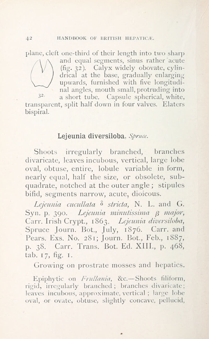 plane, cleft one-third of their length into two sharp and equal segments, sinus rather acute (fig. 32). Calyx widely obovate, cylin- drical at the base, gradually enlarging upwards, furnished with five longitudi- nal angles, mouth small, protruding into 32' a short tube. Capsule spherical, white, transparent, split half down in four valves. Elaters bispiral. Lejeunia diversiloba, Spruce. Shoots irregularly branched, branches divaricate, leaves incubous, vertical, large lobe oval, obtuse, entire, lobule variable in form, nearly equal, half the size, or obsolete, sub- quadrate, notched at the outer angle ; stipules bifid, segments narrow, acute, dioicous. Lejeunia cucullata & stricta, N. L. and G. Syn. p. 390. Lejeunia miuutissinia f3 major, Carr. Irish Crypt., 1863. Lejeunia diversiloba, Spruce Journ. Bot., July, 1876. Carr. and Pears. Exs. No. 281; Journ. Bot., Feb., 1887, p. 38. Carr. Trans. Bot. Ed. XIII., p. 468, tab. 17, fig. 1. Growing on prostrate mosses and hepatics. Epiphytic on Frullania, &c.—Shoots filiform, rigid, irregularly branched; branches divaricate: leaves incubous, approximate, vertical ; large lobe oval, or ovate, obtuse, slightly concave, pellucid,