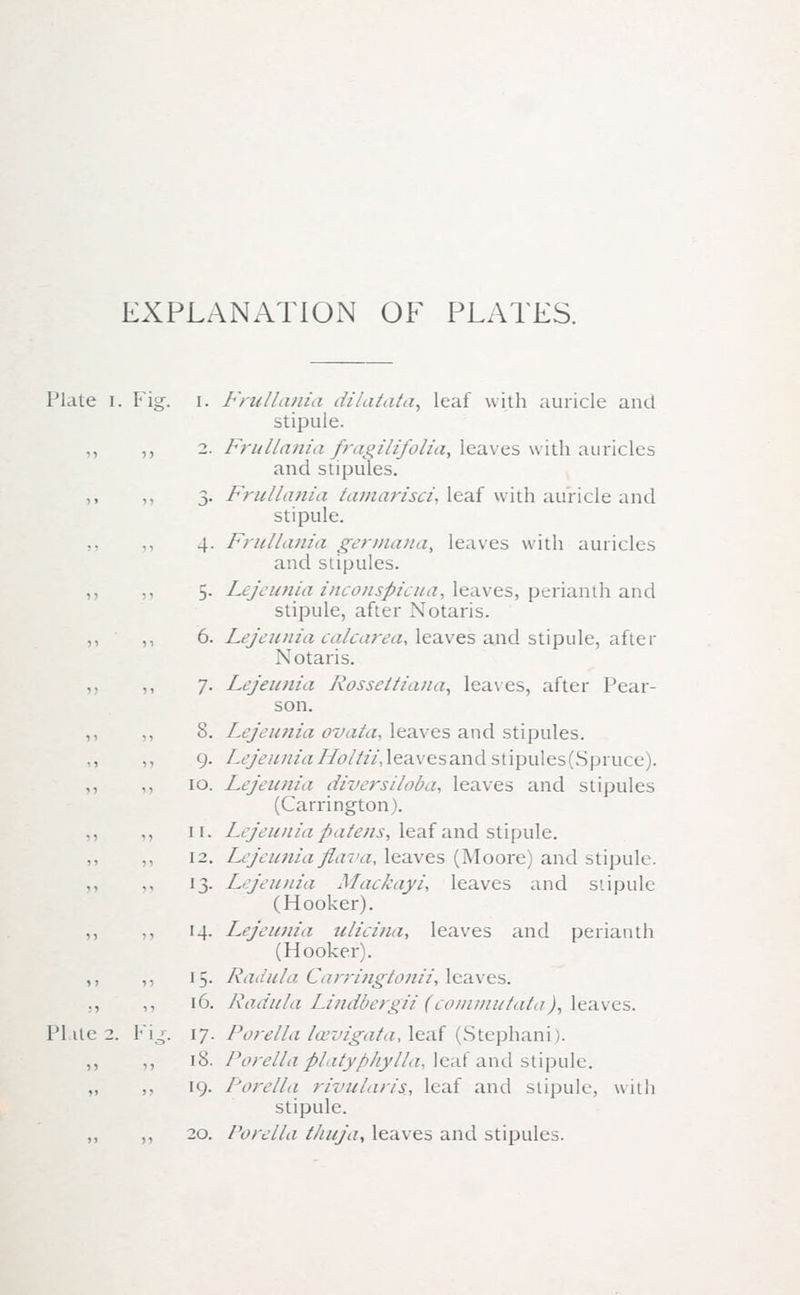EXPLANATION OF PLATES. Plate i. Fig. i. Frullania dilatata, leaf with auricle and stipule. 2. Frullania fragiI ifolia, leaves with auricles and stipules. 3. Frullania /a/uarisci, leaf with auricle and stipule. 4. Frullania germana, leaves with auricles and stipules. 5. Lejeunia ineonspieua, leaves, perianth and stipule, after Notaris. 6. Lejeunia calcarea, leaves and stipule, after Notaris. 7. Lejeunia Rosscttiana, leases, after Pear- son. 8. Lejeunia ovata. leaves and stipules. 9. LejeuniaI/ollii,leavesand stipules(Spruce). 10. Lejeunia diversiloba, leaves and stipules (Carrington). 11. Lejeunia patens; leaf and stipule. 12. Lejeunia jlava, leaves (Moore) and stipule. 13. Lejeunia Mackayi, leaves and stipule (Hooker). 14. Lejeunia ulicina, leaves and perianth (Hooker). 15. Radula Carringtonii, leaves. 16. Radula Lindbergii (conunutata), leaves. PI itc 2. Fig. 17. Porella Icevigata, leaf (Stephani). 18. Porella platypJiylla, leaf and stipule. 19. Porella rivularis., leaf and stipule, with stipule. 20. Porella thuja, leaves and stipules.