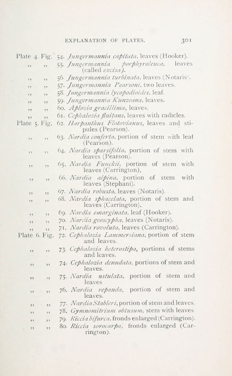 Plate 4. Fig. 54. Jungermannia capitaia, leaves (Hooker). ,, ,, 55. Jungermannia ■porphyroleuca, leaves (called excisa). >> »> 56 Jungermannia turbinata, leaves (Notaris). >» >' 57- Jungermannia Pearsoni, two leaves, i) » 58- Jungermannia lycopodioides,leaf- » 5> 59- Jungermannia Kunzeana, leaves. ,, ,, 60. Aplasia gracillima, leaves. ,, ,, 61. Cephalozia fluitans, leaves with radicles. Plate 5. Fig. 62. Harpanthus Flotoviahus, leaves and sti- pules (Pearson). ,, ,, 63. Nardia conferta, portion of stem with leaf (Pearson). ,, ,, 64. Nardia sparsifolia, portion of stem with leaves (Pearson). ,, „ 65. Nardia Fiuickii, portion of stem with leaves (Carrington). ,, ,, 66. Nardia alpina, portion of stem with leaves (Stephani). ,, ,, 67. Nardia robusta, leaves (Notaris). ,, ,, 68. Nardia sphacelata, portion of stem and leaves (Carrington). ,, ,, 69. ATardia emarginata, leaf (Hooker). ,, ,, 70. Nardia geoscypha, leaves (Notaris). ,, ,, 71. Nardia rovoluta, leaves (Carrington). Plate 6. Fig. 72. Cephalozia Lammersiana, portion of stem and leaves. ,, ,, 73. Cephalozia heleroslipa, portions of stems and leaves. ,, ,, 74. Cephalozia denudata, portions of stem and leaves. ,, ,, 75. Nardia ustulala, portion of stem and leaves ,, ,, 76. Nardia repanda, portion of stem and leaves. ,, ,, 7J. NardiaStableri, portion of stem and leaves. ,, ,, 78. Gymnomitrium obtusion, stem with leaves. ,, ,, 79. Ricciabifurca, fronds enlarged (Carrington). ,, ,, 80. Riccia sorocarpa, fronds enlarged (Car- rington).