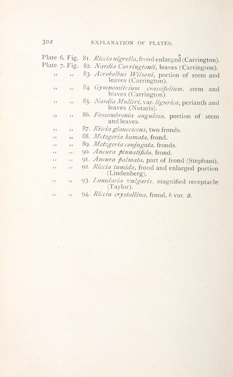 Plate 6. Fig. 81. Riccia nigrella,frond enlarged(Carrington). Plate 7. Fig. 82. Nardia Carringtonii, leaves (Carrington). ,, 83. Acrobolbus Wihoni, portion of stem and leaves (Carrington). ,, 84. Gymnomitrium crassifolium. stem and leaves (Carrington). 85. Nardia Mulleri, var. ligurica, perianth and leaves (Notaris). ,, 86. Fossombronia angulosa, portion of stem and leaves. „ 87. Riccia glancescens, two fronds. ,, 88. Metzgeria hamata, frond. 89. Metzgeria conjugata, fronds. 90. Aneura pinnatifida, frond. 91. Amura palmata, part of frond (Stephani). 92. Riccia tumida, frond and enlarged portion (Lindenberg). 93. Lunularia vulgaris, magnified receptacle (Taylor). ,, 94. Riccia crystallina, frond, h var. #.