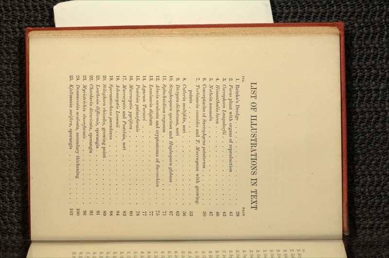 LIST OF ILLUSTKATIONS IN TEXT FIG. PAGE 1. Reinke's Dredge 28 2. -Fucus plant with organs of reproduction 41 3. Coccophora Langsdorfii 43 4. Himanthalia lorea 46 5. Notheia anomala 47 6. Conceptacles of Sarcophycus potatorum 50 7. Turbinaria conoides and T. Murray ana with growing- points 53 8. Cutleria multijida, sori 56 9. Didyota dichotoma, sori 62 10. Scaphospora speciosa, and Haplospora globosa 67 11. Splachnidium rugosum 71 12. Alaria esculenta and cryptostoma of Saccorhiza ... 75 13. Laminaria digitata 77 14. Agarum Turneri 77 15. Postelsia palmcpformis 78 16. Macrocystis pyrifera 80 17. Macrocystis and Postelsia, sori 83 18. Adenocystis Lessonii 84 19. Spermatochmis paradoxus 88 20. Stilophora rhizodes, growing point 89 21. Leathesia difformis, sporangia 91 22. Chordaria divaricata, sporangia 92 23. Myriotrichia clavceformis 96 24. Desmarestia aculeata, secondary thickening 100 25. Kjellmania sorifera, sporangia 103