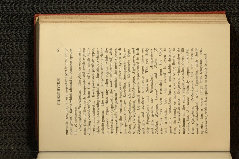 currents, &c., play a very important part in producing mere growth forms which abound in common species like F. vesiculosus. Geographical Distribution.—The Fucacece occur in all seas, those of the north temperate and arctic regions differing considerably from those of the south tem- perate and antarctic. Each possesses peculiar types, while the intervening tropical zone has also its charac- teristic genera. The south temperate zone is richer in generic types than any other region, while the tropical zone (especially the south sub-tropical) with comparatively few genera furnishes the most species. Among the southern temperate generic types with few species there are Durvillea, Sarcophycus, Myrio- desma, Carpoglossum, Hoi^mosira, Marginaria, Scyto- thalia, Carpophyllum,, Landsburghia, Xiphophora, and Phyllospora, Of small genera represented in both northern and southern temperate zones there are only Pycnophycus and Halidrys. The peculiarly northern genera are Himanthalia, Ascophyllum, Pelvetia, Fgrcgia, Coccophora, and Fucus. (F. vesiculosus has been recorded from the Cape and Australia, but the record is open to question.) Cystophora has a remarkable distribu- tion, its twenty or more species being limited to warm Australian seas. Sargassum, which reaches its maximum in the same region, contains about 150 species, but of a more distinctly tropical character than Cystophora. Cystophyllum has ten species, mostly sub-tropical, while Cystoseira, with thirty species, has a wider range into temperate seas. Turbinaria, with a few species, is strictly tropical.