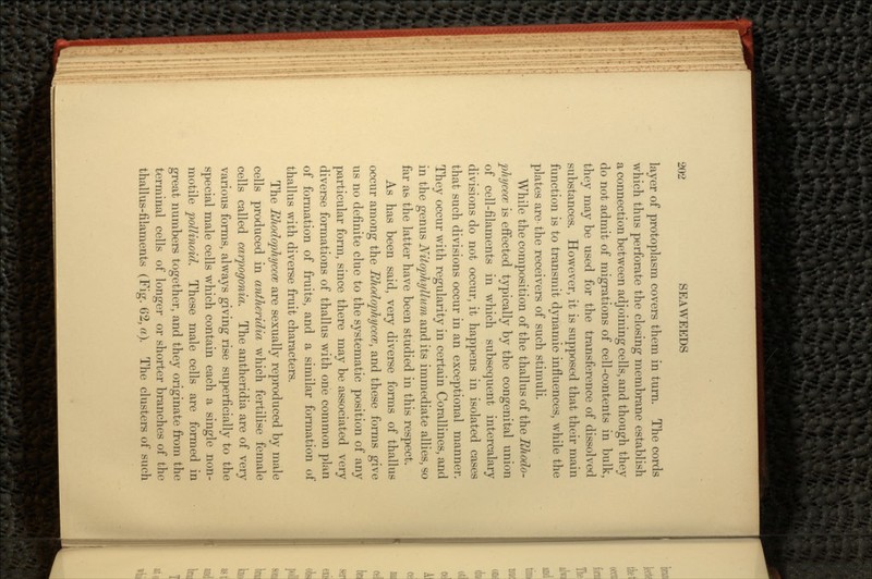 layer of protoplasm covers them in turn. The cords which thus perforate the closing membrane establish a connection between adjoining cells, and though they do not admit of migrations of cell-contents in bulk, they may be used for the transference of dissolved substances. However, it is supposed that their main function is to transmit dynamic influences, while the plates are the receivers of such stimuli. While the composition of the thallus of the Ehodo- phycece is effected typically by the congenital union of cell-filaments in which subsequent intercalary divisions do not occur, it happens in isolated cases that such divisions occur in an exceptional manner. They occur with regularity in certain Corallines, and in the genus Nitophyllum and its immediate allies, so far as the latter have been studied in this respect. As has been said, very diverse forms of thallus occur among the Rhodophycece, and these forms give us no definite clue to the systematic position of any particular form, since there may be associated very diverse formations of thallus with one common plan of formation of fruits, and a similar formation of thallus with diverse fruit characters. The Rhodophyccce are sexually reproduced by male cells produced in antheridia which fertilise female cells called carpogonia. The antheridia are of very various forms, always giving rise superficially to the special male cells which contain each a single non- motile pollinoid. These male cells are formed in great numbers together, and they originate from the terminal cells of longer or shorter branches of the thallus-filaments (Fig. 62, a). The clusters of such