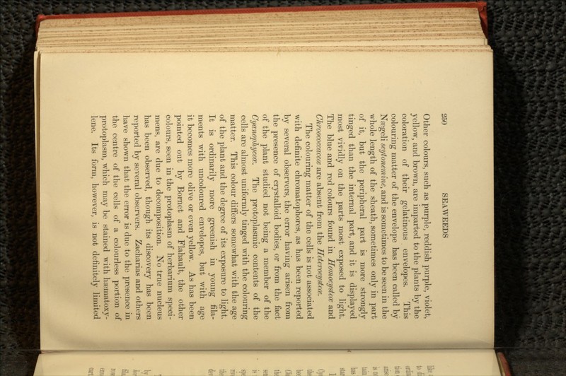 Other colours, such as purple, reddish purple, violet, yellow, and brown, are imparted to the plants by the coloration of their gelatinous envelopes. This colouring matter of the envelope has been called by Nsegeli scytoneminc, and is sometimes to be seen in the whole length of the sheath, sometimes only in part of it, but the peripheral part is more strongly tinged than the internal part, and it is displayed most vividly on the parts most exposed to light. The blue and red colours found in Homocystccc and Chroococcacece are absent from the Hcterocystece. The colouring matter of the cells is not associated with definite chromatophores, as has been reported by several observers, the error having arisen from the presence of crystalloid bodies, or from the fact of the plant studied not being a member of the Cyanophyc&B. The protoplasmic contents of the cells are almost uniformly tinged with the colouring matter. This colour differs somewhat with the age of the plant and the degree of its exposure to light. It is ordinarily more greenish in young fila- ments with uncoloured envelopes, but with age it becomes more olive or even yellow. As has been pointed out by Bornet and Flahault, the other colours, seen in the protoplasm of herbarium speci- mens, are due to decomposition. No true nucleus has been observed, though its discovery has been reported by several observers. Zacharias and others have shown that the error is due to the presence in the centre of the cells of a colourless portion of protoplasm, which may be stained with hsematoxy- lene. Its form, however, is not definitely limited