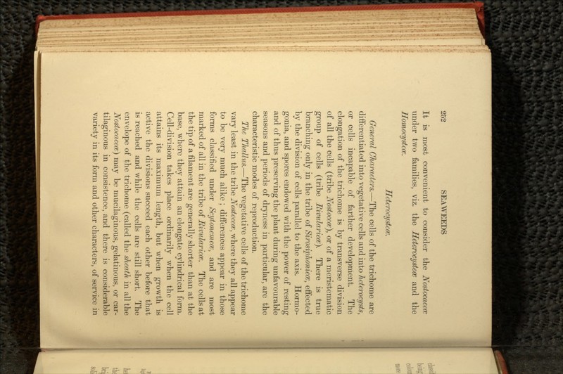 It is most convenient to consider the Nostocaccce under two families, viz. the Heterocystecc and the Homocystcce. Heterocystcm. General Characters.—The cells of the trichome are differentiated into vegetative cells and into hctcrocysts, or cells incapable of farther development. The elongation of the trichome is by transverse division of all the cells (tribe Nostoceoe), or of a meristematic group of cells (tribe Eivulariece). There is true branching only in the tribe of Sirosiphonicce, effected by the division of cells parallel to the axis. Hormo- gonia, and spores endowed with the power of resting and of thus preserving the plant during unfavourable seasons and periods of dryness in particular, are the characteristic modes of reproduction. The Thallus.—The vegetative cells of the trichome vary least in the tribe Nostoccce, where they all appear to be very much alike ; differences appear in those forms classified under Scytonemccc, and are most marked of all in the tribe of Rimdaricce. The cells at the tip of a filament are generally shorter than at the base, where they attain an elongate cylindrical form. Cell-division takes place ordinarily when the cell attains its maximum length, but when growth is active the divisions succeed each other before that is reached and while the cells are still short. The envelope of the trichome (called the sheath in all the Nostocacecv) may be mucilaginous, gelatinous, or car- tilaginous in consistence, and there is considerable variety in its form and other characters, of service in