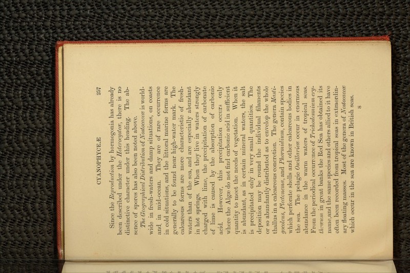 Since the Reproduction by hormogonia has already been described under the Heterocystecc, there is no distinctive character under this heading. The ab- sence of spores has also been noted above. The Geographical Distribution of Nostocaccm is world- wide in fresh-waters and damp situations, on coasts and in mid-ocean. They are of rare occurrence in cold situations, and the littoral marine forms are generally to be found near high-water mark. The calcareous forms are more characteristic of fresh- waters than of the sea, and are especially abundant in hot springs. When they live in waters strongly charged with lime, the precipitation of carbonate of lime is caused by the absorption of carbonic acid. However, this precipitation occurs only where the Alga3 do not find carbonic acid in sufficient quantity to meet the needs of vegetation. When it is abundant, as in certain mineral waters, the salt is precipitated only in very small quantities. The deposition may be round the individual filaments or so abundantly distributed as to envelop the whole thallus in a calcareous concretion. The genera Masti- gocolcus, Plcctcncma, and Phormidium, contain species which perforate shells and other calcareous bodies in the sea. The pelagic Oscillariem occur in enormous abundance in the warm waters of tropical seas. From the periodical occurrence of Trichodcsmium cry- thrcvum in great banks the Red Sea has obtained its name, and the same species and others allied to it have often been recorded from tropical seas in extraordin- ary floating masses. Most of the genera of Nostocacece which occur in the sea are known in British seas.