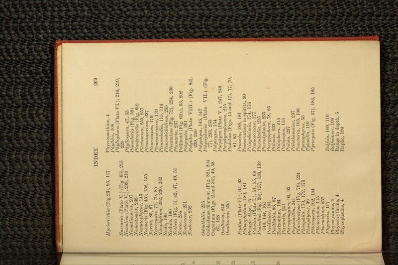 Myriotrichia (Fig 23), 95, 117 Naccaria (Plate V.) (Fig. 65), 215 Nemcdion (Plate V.j, 209, 210 Nemalionacetv, 207 Nemastomecc, 238 Nematophycus, 143 Neomeris (Fig. 45), 152, 155 Nereia, 86, 87 Nereocystis, 77, 79, 85 Nitophyllum, 202, 230, 232 Node, 190 Nodule, 190 Notheia (Fig. 5), 42, 47, 49, 51 Nostoc, 254 Noakocaccvt, 251 Nostocece, 252 Odonthalia, 235 Ooblastema filament (Fig. 82), 204 Oogonium (Figs. 2 and 34), 49, 58 61, 128 Oscillaria, 249 Oscillariece, 255 (Plate II.), 61, 63 Palmophyllum, 180, 181 Pelagic Algae, 17 Pelvetia (Plate L), 51, 55, 68 Penicillus (Fig. 38), 137, 138, 139 140, 144, 161 Peridiniece, 181 Perithalia, 86, 87 Perizonium, 194 Petrocdis, 241 Petrospongium, 92, 93 Peyssonellia, 241 Phacelomrpus (Fig. 70), 224 PhaopMa, 170, 172, 173 Ph<t'ophycea>, 39 Phhvospora, 102, 104 Phloiocaulon, 115 Phormidium, 257 Phycocelis, 117 Phycocyanine, 4 Phycoerythrine, 4 Phycophaeine, 4 Phycoxanthine, 4 PhyllUie, 108 Phyllophora (Plate VI.), 216, 219, 220 Phyllospora, 47, 55 Pinnularia (Fig. 59) Planktoniella (Fig. 60) Plectonema, 255, 257 Pleonosporium, 237 Pleurocapsa, 179 Pleurococcacea1, 179 Pleurodadia, 115, 116 Pleurostichidium, 235 Plocamitim (Fig. 72), 224, 230 Plumaria, 237 Pollinoid (Fig. 62A), 63, 202 Polycystis, 261 Polyides (Plate VIII.) (Fig. 82), 239, 240 Polyphysa, 145, 147 Polydphonia, (Plate VII.) (Fig. 77), 233, 235 Polytrypa, 154 Porphyra (Plate V.), 247, 248 Porphyroglossum, 215 Postelsia (Figs. 15 and 17), 77, 79, 81, 85 Prasiola, 180, 181 Preservation in spirits, 30 Pringsheimia, 174, 176 Protococcacece, 177 Pterodadia, 215 Pterosiphonia, 235 Pterygophora, 78, 85 Ptilonia, 233 Pti/ophora, 215 Ptilopogon, 115 Ptilota, 237 Ptilothamnion, 237 Punctaria, 105, 108 Pycnophycus, 55 Pylaiella, 119 Pyrocystis (Fig. 57), 184, 185 , 109, 110 108 Range in depth, 5 Raphe, 190