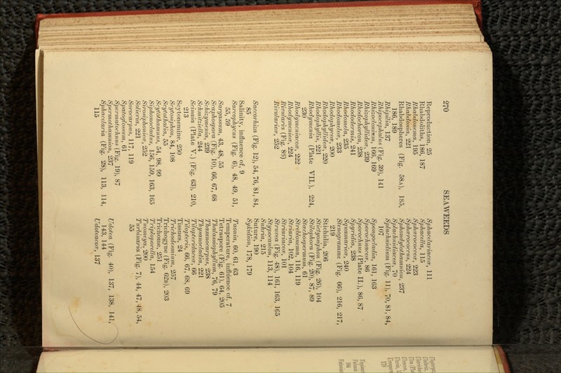 Reproduction, 25 Rhabdoliths, 186, 187 Jfhabdonema, 195 Rhdbdonia, 221 Rhabdospheres (Fig. 58A), 185, 186, 189 Rhipilia, 137 Rhipocephaliis (Fig. 39), 141 Rhizodonium, 166, 169 Rhizophyllidea, 239 Rhodochorton, 238 Rhododermis, 241 Rhodomela, 235 Rhodomdew, 233 Rhodophycece, 200 RhodophyUideoe, 220 Rhodophyllis, 221 Rhodymenia (Plate VII.), 224, 230 Rhodymeniacece, 222 Rhodymenieo', 224 Rividaria, (Fig. 86) Rivulariew, 252 Saccorhiza (Fig. 12), 54, 76, 81, 84, 85 Salinity, influence of, 9 Sarcop'hycus (Fig. 6), 48, 49, 51, 55, 59 fiargassum, 43, 48, 55 Scaphospora (Fig. 10), 66, 67, 68 Schizymenia, 239 SchmitzieHa, 244 Scinaia (Plate V.) (Fig. 63), 210, 213 Scytonemine, 250 Scytosiphon, 84, 108 Scytothalia, 55 Scytothamnus, 54, 98, 99 Siphonocladus, 156, 159, 163, 165 fiirosiphoniew, 252 Solieria, 221 Sorocarpns, 117, 119 fipatogloMtim, 61 Spermatochnus (Fig. 19), 87 fipermothamnion, 237 Sphacelaria (Fig. 28), 113, 114, 115 Sphacelariacece, 111 Sphacdla, 115 Sphcerococcece, 223 Sphcerococcm, 224 Sphondy/othamnioii, 237 Splachnidiacea, 70 Splachnidium (Fig. 11), 70, 81, 84, 107 Spongodadia, 161, 163 fiporochnacew, 86 tiporochmts (Plate II.), 86, 87 Spyridia, 238 Squamariea, 240 Stenogramme (Fig. 66), 216, 217, 219 Stichidia, 206 Stictyosiphon (Fig. 26), 104 Stilophora (Fig. 20), 87, 89 StcKchospermum, 61 Streb/onema, 116, 119 Striaria, 102, 104 Striariacecc, 101 ^r^^^7ea (Fig. 48), 161, 163, 1C5 Stypocaulon, 113, 114 SuJma, 215 Suture, 190 Sykidion, 178, 179 Taonia, 60, 61, 63 Temperature, influence of, 7 Tetraspore (Fig. 61), 64, 205 Thalassiophyllum, 76, 79 Thamnocarpus, 238 Thysanodadia, 221 Tihpteridacea*, 66 Tifopteris, 66, 67, 68, 69 Tissues, 24 Trichodesm iinn, 257 Trichogyne (Fig. 62s), 203 Trichome, 251 TriploporeUa, 154 Tttomeya, 200 Turbinaria (Fig. 7), 44, 47, 48, 54, 55 (Fig. 40), 137, 138, 141, 143, 144 Udoteacecv, 137