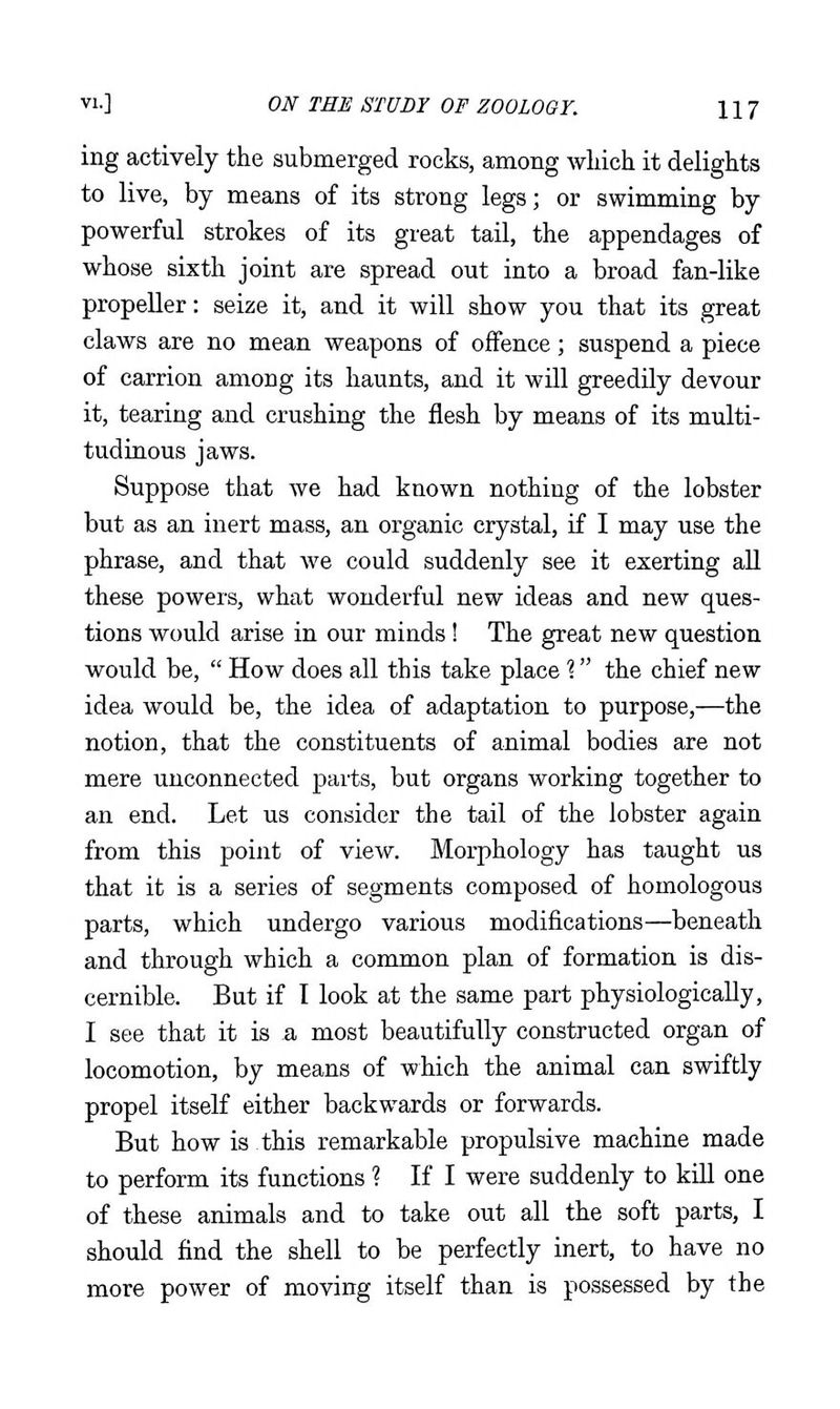 ing actively the submerged rocks, among Avliich it delights to live, by means of its strong legs; or swimming by powerful strokes of its great tail, the appendages of whose sixth joint are spread out into a broad fan-like propeller: seize it, and it will show you that its great claws are no mean weapons of offence; suspend a piece of carrion among its haunts, and it will greedily devour it, tearing and crushing the flesh by means of its multi- tudinous jaws. Suppose that we had known nothing of the lobster but as an inert mass, an organic crystal, if I may use the phrase, and that we could suddenly see it exerting all these powers, what wonderful new ideas and new ques- tions would arise in our minds! The great new question would be,  How does all this take place \ the chief new idea would be, the idea of adaptation to purpose,—the notion, that the constituents of animal bodies are not mere unconnected parts, but organs working together to an end. Let us consider the tail of the lobster again from this point of view. Morphology has taught us that it is a series of segments composed of homologous parts, which undergo various modifications—beneath and through which a common plan of formation is dis- cernible. But if I look at the same part physiologically, I see that it is a most beautifully constructed organ of locomotion, by means of which the animal can swiftly propel itself either backwards or forwards. But how is this remarkable propulsive machine made to perform its functions ? If I were suddenly to kUl one of these animals and to take out all the soft parts, I should find the shell to be perfectly inert, to have no more power of moving itself than is possessed by the
