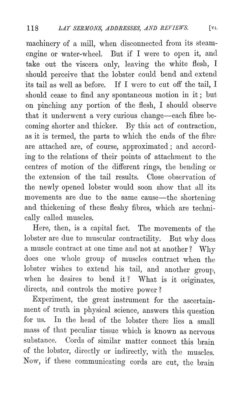 machinery of a mill, when disconnected from its steam- engine or water-wheel. But if I were to open it, and take out the viscera only, leaving the white flesh, I should perceive that the lobster could bend and extend its tail as well as before. If I were to cut off the tail, I should cease to find any spontaneous motion in it; but on pinching any portion of the flesh, I should observe that it underwent a very curious change—each fibre be- coming shorter and thicker. By this act of contraction, as it is termed, the parts to which the ends of the fibre are attached are, of course, approximated; and accord- ing to the relations of their points of attachment to the centres of motion of the diff'erent rings, the bending or the extension of the tail results. Close observation of the newly opened lobster would soon show that all its movements are due to the same cause—the shortening and thickening of these fleshy fibres, which are techni- cally called muscles. Here, then, is a capital fact. The movements of the lobster are due to muscular contractility. But why does a muscle contract at one time and not at another ? Why does one whole group of muscles contract when the lobster wishes to extend his tail, and another group, when he desires to bend it? What is it originates, directs, and controls the motive power? Experiment, the great instrument for the ascertain- ment of truth in physical science, answers this question for us. In the head of the lobster there lies a small mass of that peculiar tissue which is known as nervous substance. Cords of similar matter connect this brain of the lobster, directly or indirectly, with the muscles. Now, if these communicating cords are cut, the brain