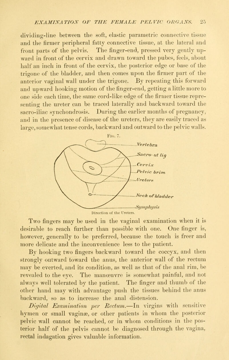 dividing-line between the soft, elastic parametric connective tissue and the firmer peripheral fatty connective tissue, at the lateral and front parts of the pelvis. The finger-end, pressed very gently up- ward in front of the cervix and drawn toward the pubes, feels, about half an inch in front of the cervix, the posterior edge or base of the trigone of the bladder, and then comes upon the firmer part of the anterior vaginal wall under the trigone. By repeating this forward and upward hooking motion of the finger-end, getting a little more to one side each time, the same cord-like edge of the firmer tissue repre- senting the ureter can be traced laterally and backward toward the sacro-iliac synchondrosis. During the earlier months of pregnancy, and in the j^resence of disease of the ureters, they are easily traced as large, somewhat tense cords, backward and outward to the pelvic Avails. Fig. 7. ^.r'—~~-S 'f - Vertebra /\ -..^ 'OS:- ^^^^o-ut Lig \ \ rc~r^-- ■/- 1 ^^^^i^x \ \^ ^^^^.;;^^ y j--Pe/vjc brim, V \.^_^^ ^^y^.. ..S/y//.:t:..-...Ureters \^ '=*' y/ -Neck oFbladder ^-^ —'^— ~ Symphysis Direction of the Ureters. Two fingers may be used in the vaginal examination when it is desirable to reach further than possible with one. One finger is, however, generally to be preferred, because the touch is freer and more delicate and the inconvenience less to the patient. By hooking two fingers backward toward the coccyx, and then strongly outward toward the anus, the anterior wall of the rectum may be everted, and its condition, as well as that of the anal rim, be revealed to the eye. The manoeuvre is somewhat painful, and not always well tolerated by the patient. The finger and thumb of the other hand may with advantage push the tissues behind the anus backward, so as to increase the anal distension. Digital Examination per Rectum.—In virgins with sensitive hymen or small vaginae, or other patients in wdiom the posterior pelvic wall cannot be reached, or in whom conditions in the pos- terior half of the pelvis cannot be diagnosed through the vagina, rectal indagation gives valuable information.