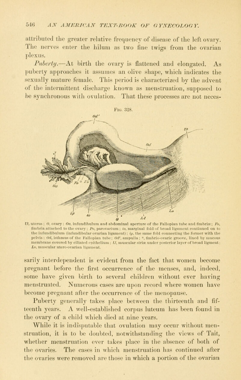 attributed the greater relative frequency of disease of the left ovary. The nerves enter the hilum as two fine twigs from the ovarian plexus. Puberty.—At birth the ovary is flattened and elongated. As puberty approaches it assumes an olive shape, which indicates the sexually mature female. This period is characterized by the advent of the intermittent discharge known as menstruation, supjDosed to be synchronous with ovulation. That these processes are not neces- FiG. 328. Ut, uterus ; O, ovary ; Oa, infundibulum and abdominal aperture of the Fallopian tube and flmbrine; Fo, fimbria attached to the ovary ; Po, parovarium ; io, marginal fold of broad ligament contiuued on to the infundibulum (infundibular ovarian ligament); ip, the same fold connecting the former with the pelvis ; Od, isthmus of the Fallopian tube; Od', ampulla; *, flmbrio-ovaric groove, lined by mucous membrane covered by ciliated epithelium ; U, muscular striae under posterior layer of broad ligmeut: Lo, muscular utero-ovarian ligament. sarily interdependent is evident from the fact that women become pregnant before the first occurrence of the menses, and, indeed, some have given birth to several children without ever having menstruated. Numerous cases are upon record where women have become pregnant after the occurrence of the menopause. Puberty genei-ally takes place between the thirteenth and fif- teenth years. A well-established corpus luteum has been found in the ovary of a child which died at nine years. While it is indisputable that ovulation mny occur without men- struation, it is to be doubted, notwithstanding the views of Tait, whether menstruation ever takes place in the absence of both of the ovaries. The cases in which menstruation has continued after the ovaries were removed are those in which a portion of the ovarian