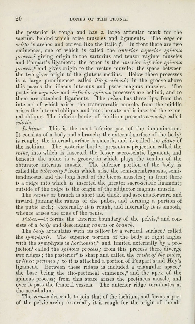 the posterior is rough and has a large articular mark for the sacrum, behind which arise muscles and ligaments. The edge or crista is arched and curved like the italic/*. In front there are two eminences, one of which is called the anterior superior spinous 'process,1 giving origin to the sartorius and tensor vaginae muscles and Poupart's ligament; the other is the anterior inferior spinous process,9, and gives origin to the rectus muscle; the space between the two gives origin to the gluteus medius. Below these processes is a large prominence11 called ilio-pectineal; in the groove above this passes the iliacus internus and psoas magnus muscles. The posterior superior and inferior spinous processes are behind, and to them are attached ligaments. The crista has three lips, from the internal of which arises the transversalis muscle, from the middle arises the internal oblique, and into the external is inserted the exter- nal oblique. The inferior border of the ilium presents a notch? called sciatic. Ischium.—This is the most inferior part of the innominatum. It consists of a body and a branch; the external surface of the bodyb is rough; the internal surface is smooth, and is called the plane of the ischium. The posterior border presents a projection called the spine, into which is inserted the lesser sacro-sciatic ligament, and beneath the spine is a groove in which plays the tendon of the obturator internus muscle. The inferior portion of the body is called the tuberosity,0 from which arise the semi-membranosus, semi- tendinosus, and the long head of the biceps muscles ; in front there is a ridge into which is inserted the greater sacro-sciatic ligament; outside of the ridge is the origin of the adductor magnus muscle. The ramus or branch is short and thick, and ascends forward and inward, joining the ramus of the pubes, and forming a portion of the pubic arch;9 externally it is rough, and internally it is smooth, whence arises the crus of the penis. Pubes.—It forms the anterior boundary of the pelvis,6 and con- sists of a body and descending ramus or branch. The body articulates with its fellow by a vertical surface/ called the symphysis. The superior portion of the body at right angles with the symphysis is horizontal,^ and limited externally by a pro- jection1 called the spinous process; from this process there diverge two ridges; the posteriork is sharp and called the crista of the pubes, or linea pectinea ; to it is attached a portion of Poupart's and Hey's ligament. Between these ridges is included a triangular space,0 the base being the ilio-pectineal eminence,0 and the apex of the spinous process; from this space arises the pectineus muscle, and over it pass the femoral vessels. The anterior ridge terminates at the acetabulum. The ramus descends to join that of the ischium, and forms a part of the pelvic arch; externally it is rough for the origin of the ab-