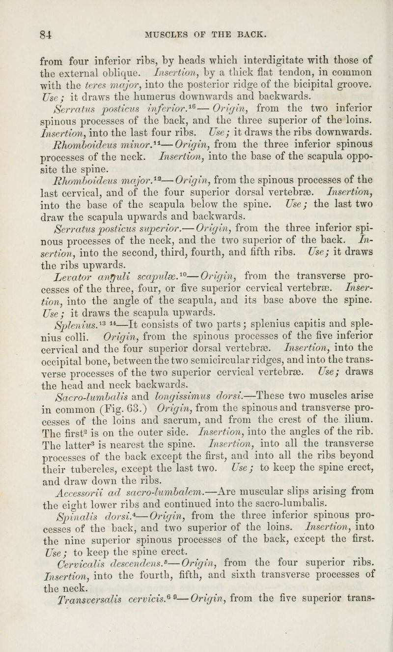from four inferior ribs, by heads which interdigitate with those of the external oblique. Insertion, by a thick flat tendon, in common with the teres major, into the posterior ridge of the bicipital groove. Use ; it draws the humerus downwards and backwards. Serratus posticus inferior.1-6— Origin, from the two inferior spinous processes of the back, and the three superior of the loins. Insertion, into the last four ribs. Use; it draws the ribs downwards. Rhomboidens minor.**—Origin, from the three inferior spinous processes of the neck. Insertion, into the base of the scapula oppo- site the spine. Ehomboideus major.12—Origin, from the spinous processes of the last cervical, and of the four superior dorsal vertebrae. Insertion, into the base of the scapula below the spine. Use; the last two draw the scapula upwards and backwards. Serratus posticus superior.— Origin, from the three inferior spi- nous processes of the neck, and the two superior of the back. In- sertion, into the second, third, fourth, and fifth ribs. Use; it draws the ribs upwards. Levator anffuli scapidse.10—Origin, from the transverse pro- cesses of the three, four, or five superior cervical vertebrae. Inser- tion, into the angle of the scapula, and its base above the spine. Use; it draws the scapula upwards. Splenitis.™ 14—It consists of two parts; splenius capitis and sple- nius colli. Origin, from the spinous processes of the five inferior cervical and the four superior dorsal vertebrae. Insertion, into the occipital bone, between the two semicircular ridges, and into the trans- verse processes of the two superior cervical vertebrae. Use; draws the head and neck backwards. Sacro-lumhcdis and longissimus dorsi.—These two muscles arise in common (Fig. 63.) Origin, from the spinous and transverse pro- cesses of the loins and sacrum, and from the crest of the ilium. The first2 is on the outer side. Insertion, into the angles of the rib. The latter3 is nearest the spine. Insertion, into all the transverse processes of the back except the first, and into all the ribs beyond their tubercles, except the last two. Use; to keep the spine erect, and draw down the ribs. Accessorii ad sacro-lumbcdem.—Are muscular slips arising from the ei^ht lower ribs and continued into the sacro-lumbalis. Spinalis dorsi.4—Origin, from the three inferior spinous pro- cesses of the back, and two superior of the loins. Insertion, into the nine superior spinous processes of the back, except the first. Use ; to keep the spine erect. Cervicalis descendens.5—Origin, from the four superior ribs. Insertion, into the fourth, fifth, and sixth transverse processes of the neck. Transversalis cervicis.69—Origin, from the five superior trans-